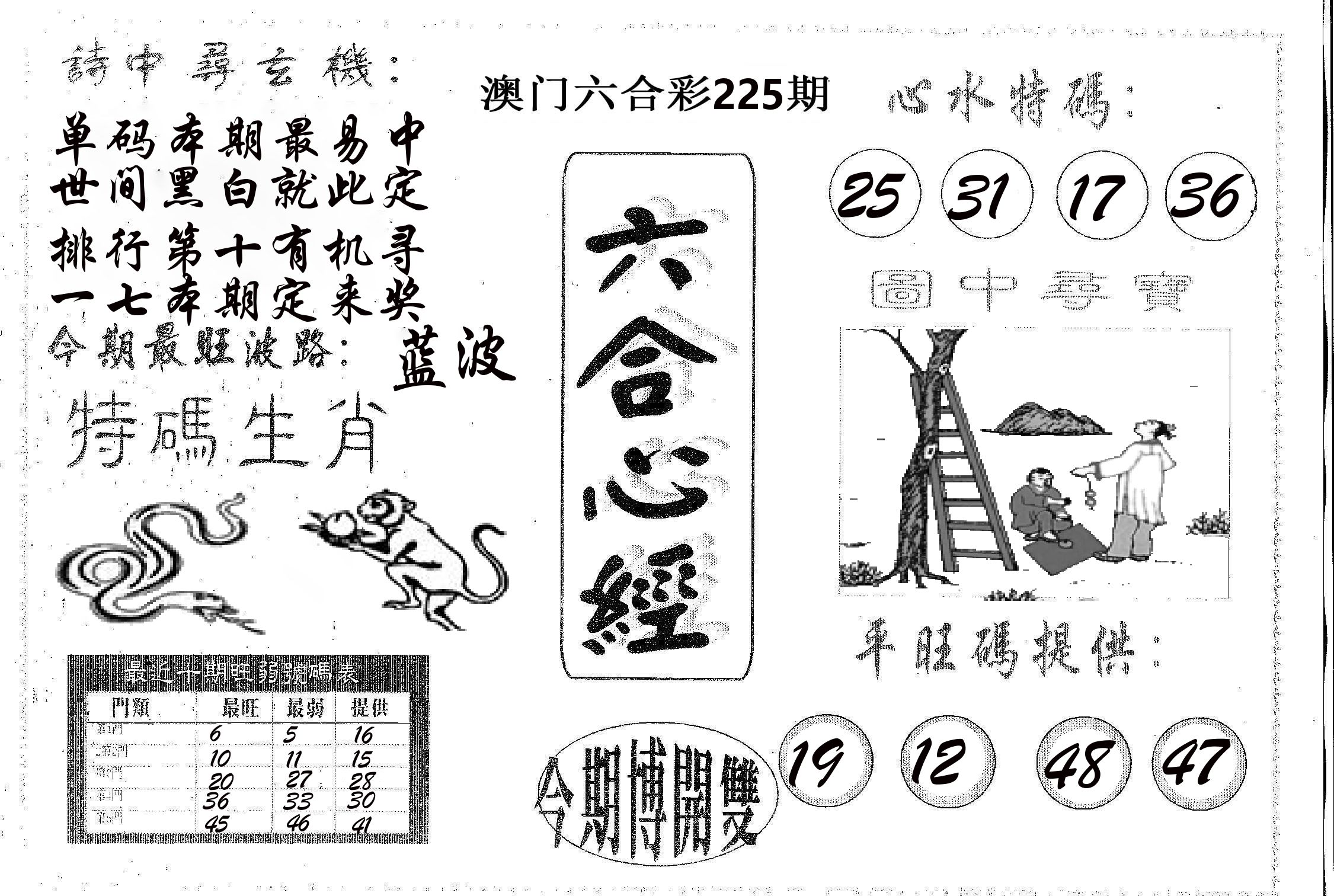 六合心经 第225期