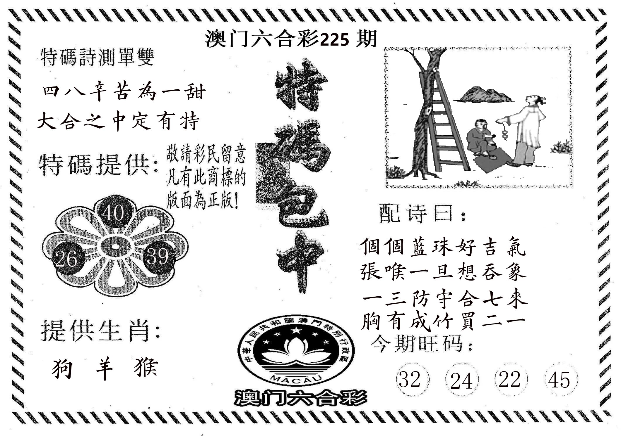 特码包中 第225期