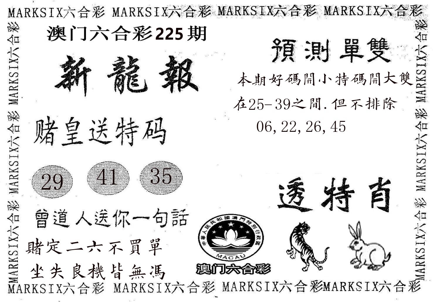 新龙报 第225期