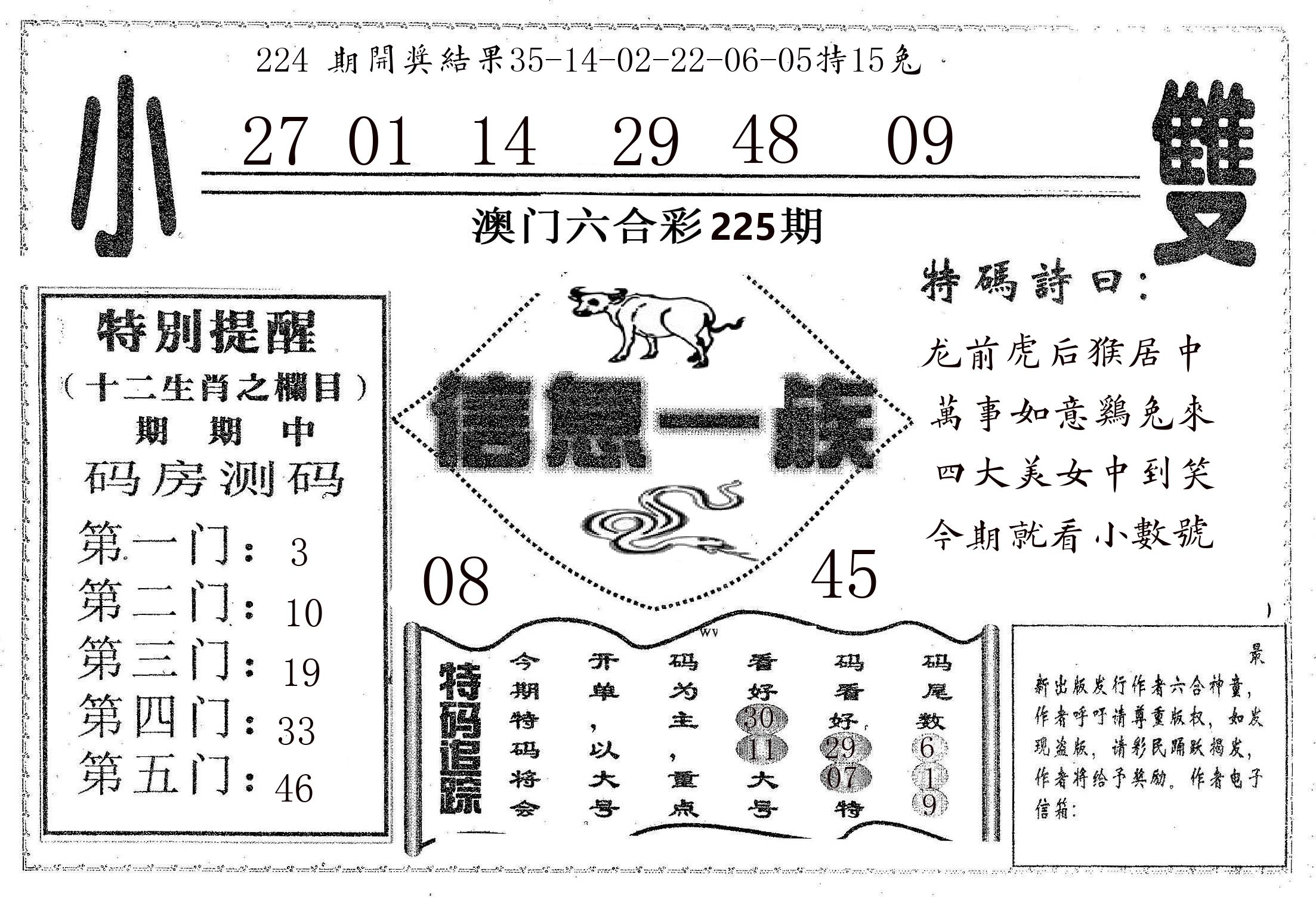 信息一族 第225期