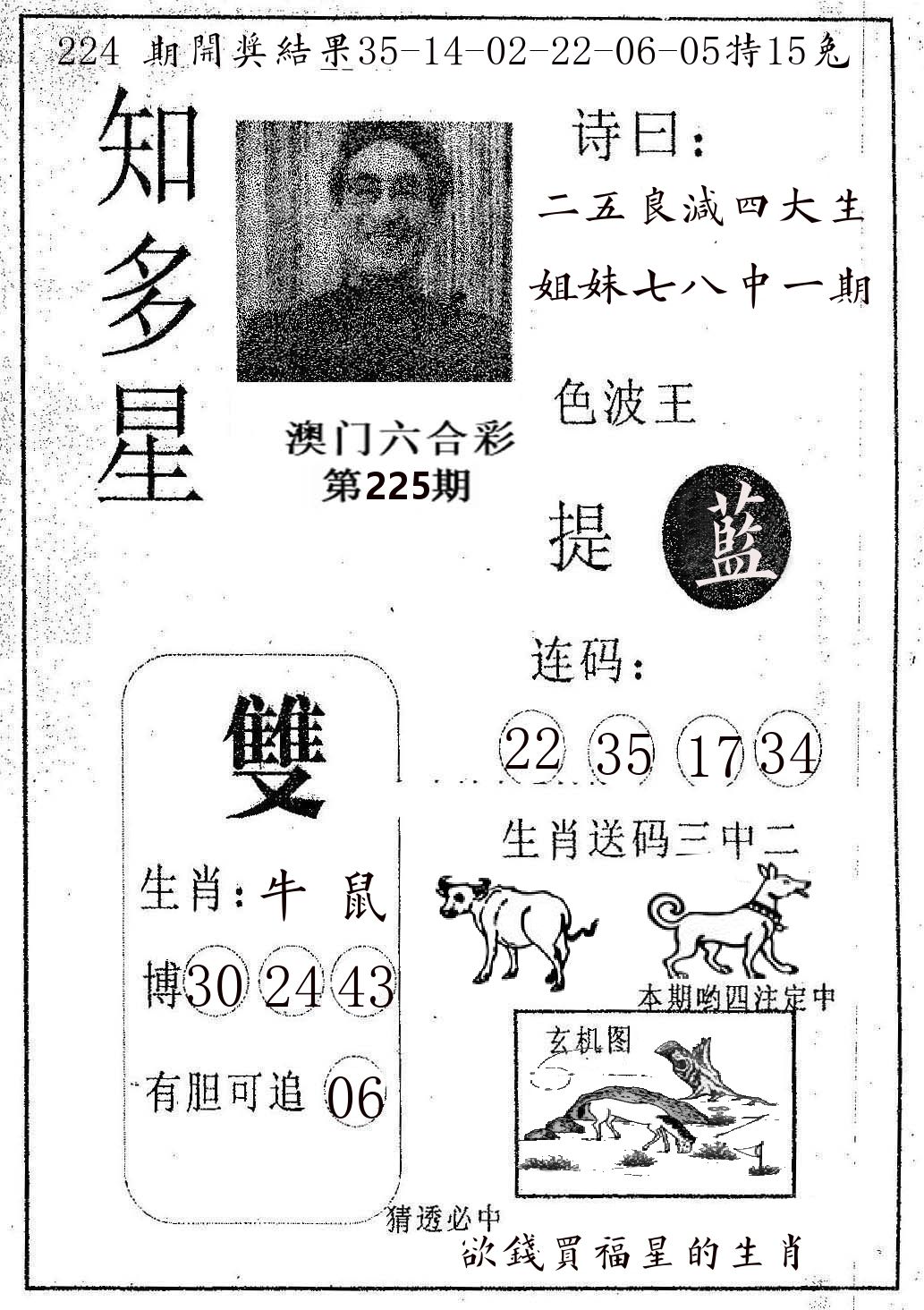 知多星 第225期