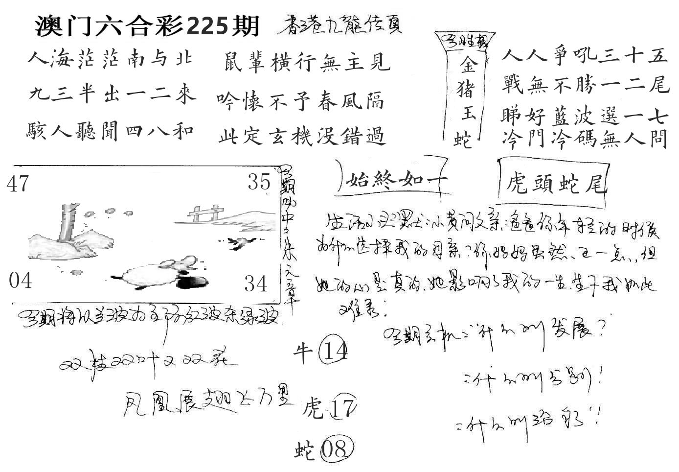 澳门手写九龙 第225期