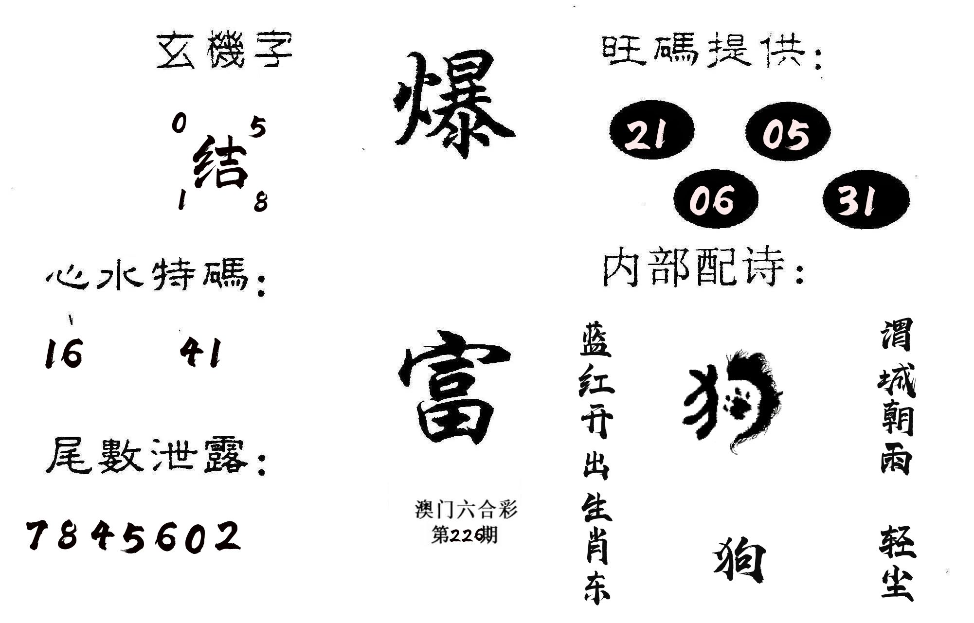 爆富 第226期