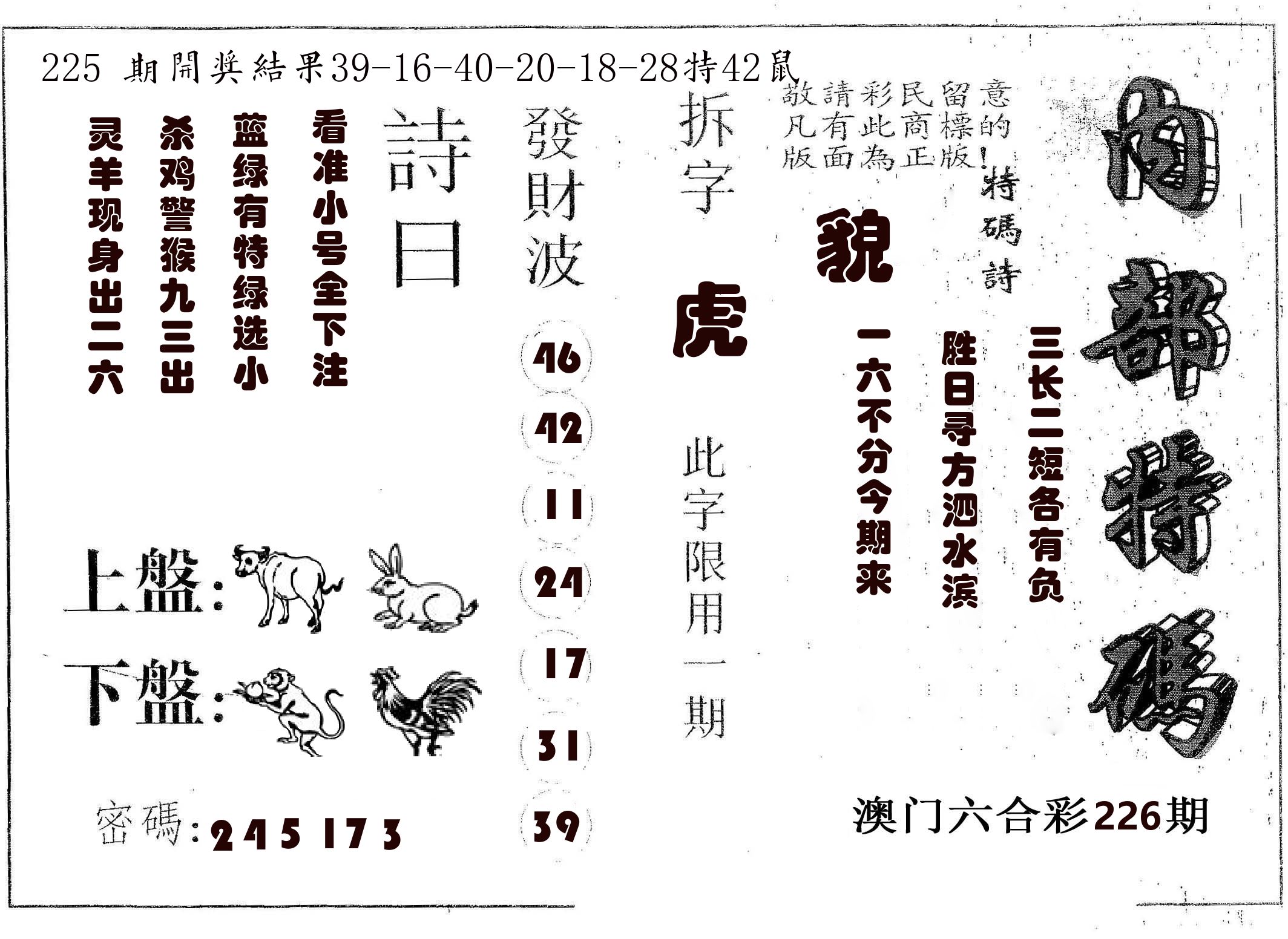 内部特码 第226期