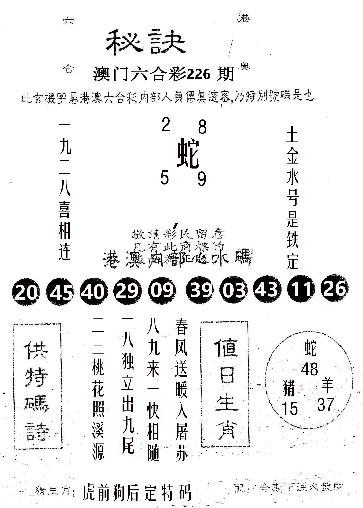 秘决 第226期