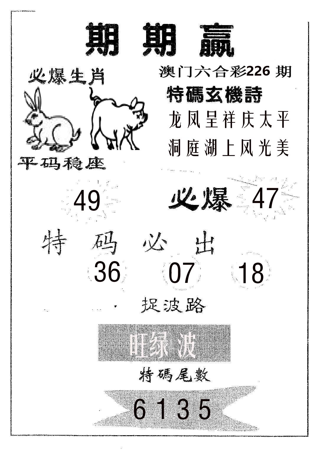 期期赢 第226期