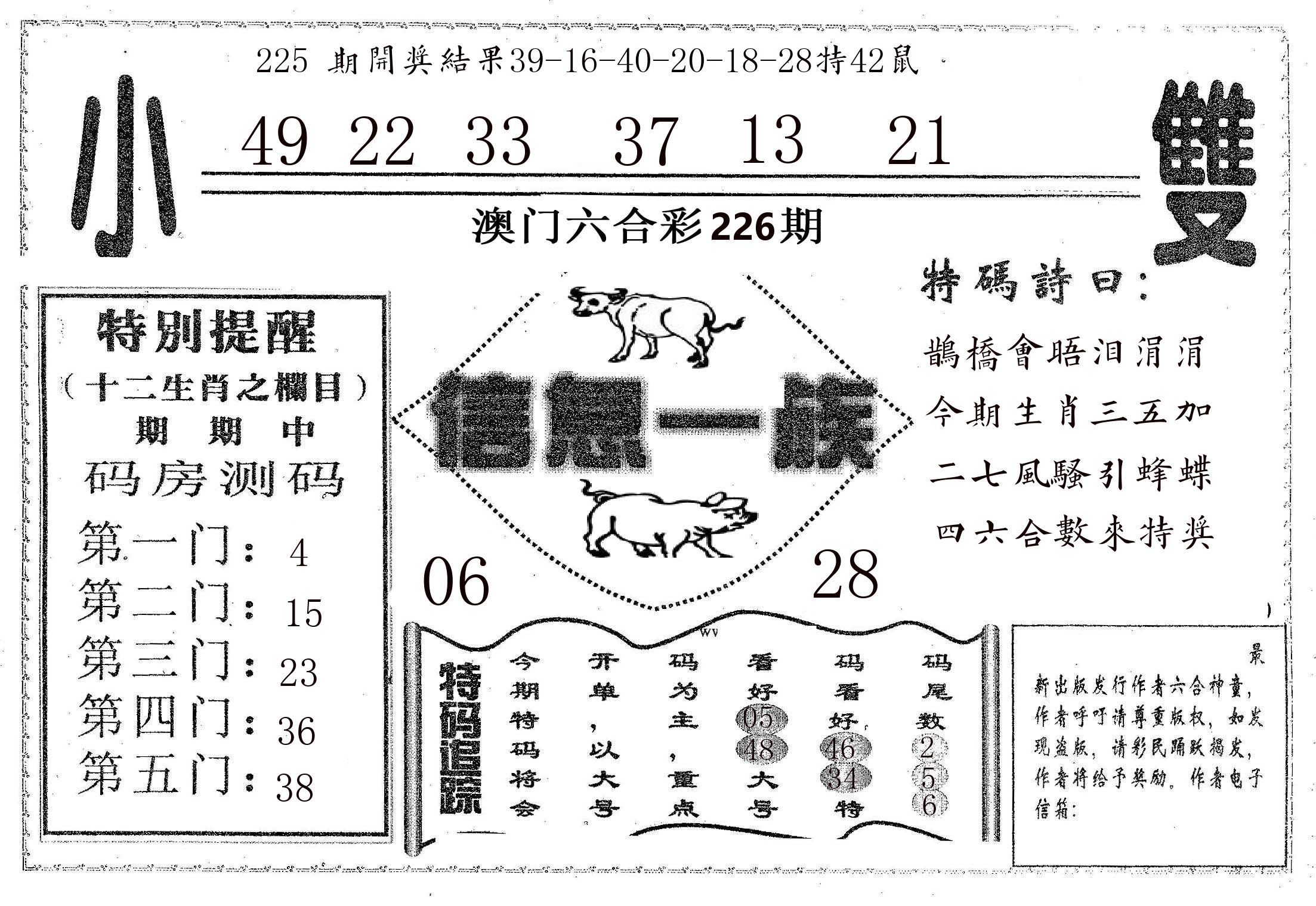 信息一族 第226期