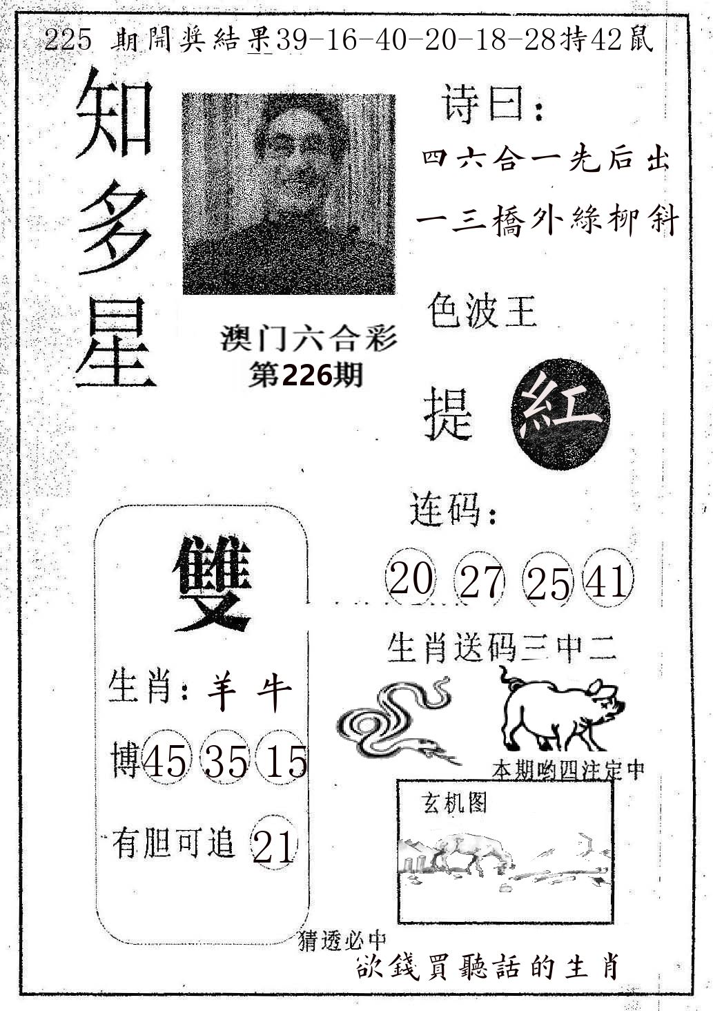 知多星 第226期