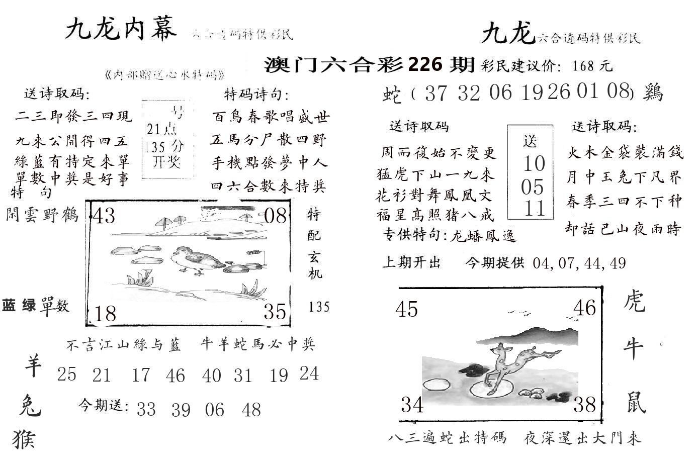 九龙内幕 第226期