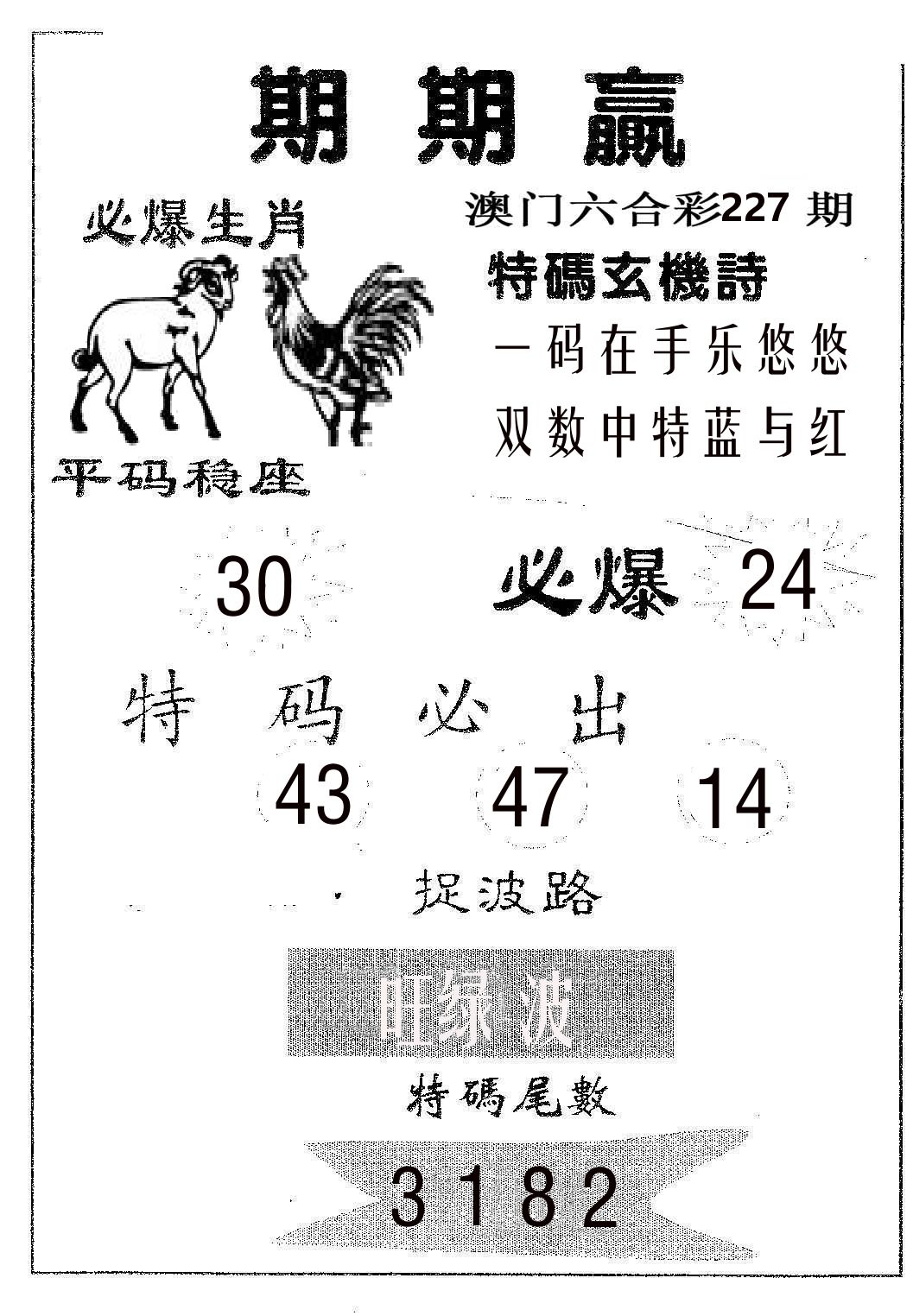 期期赢 第227期