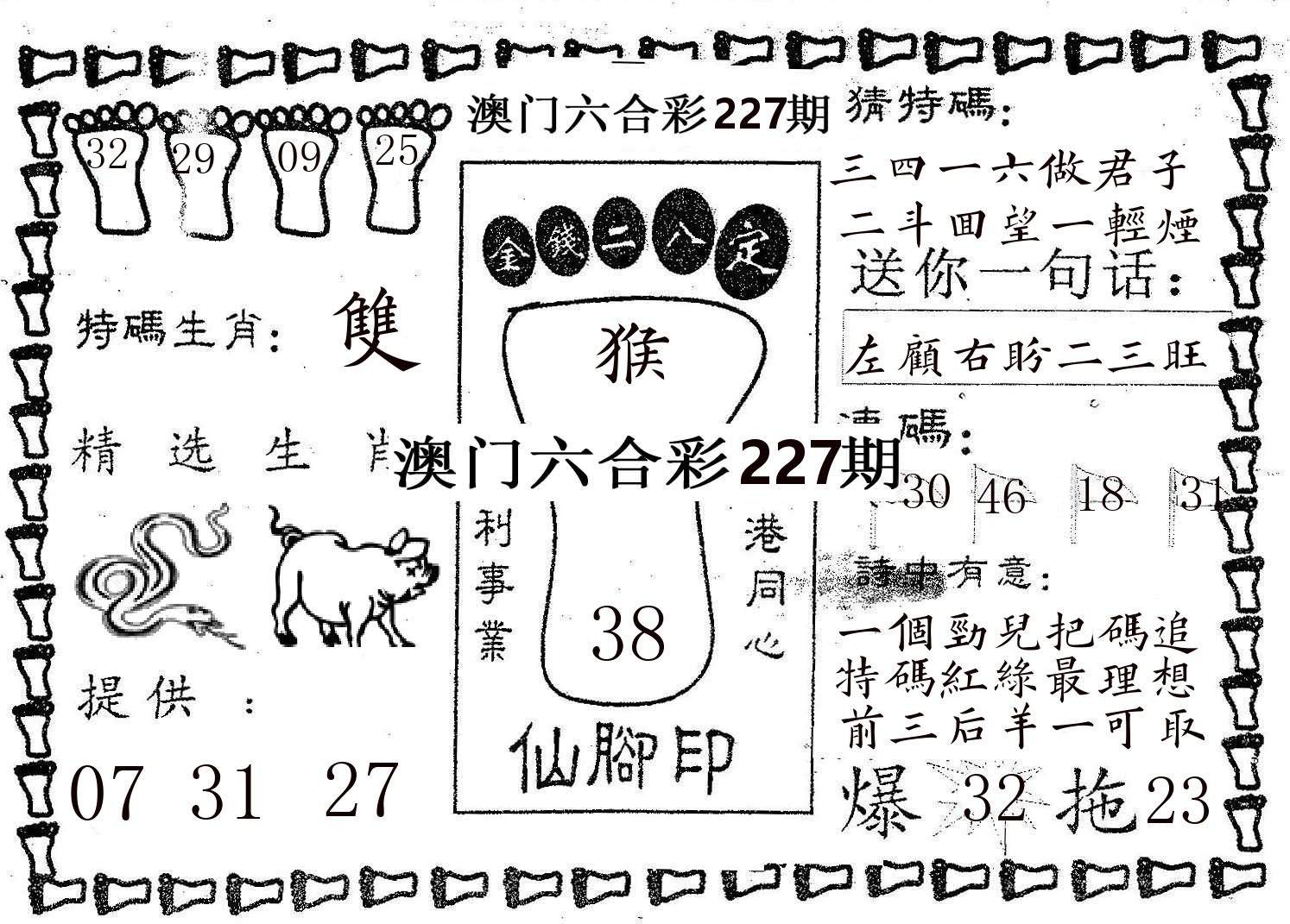仙脚印 第227期