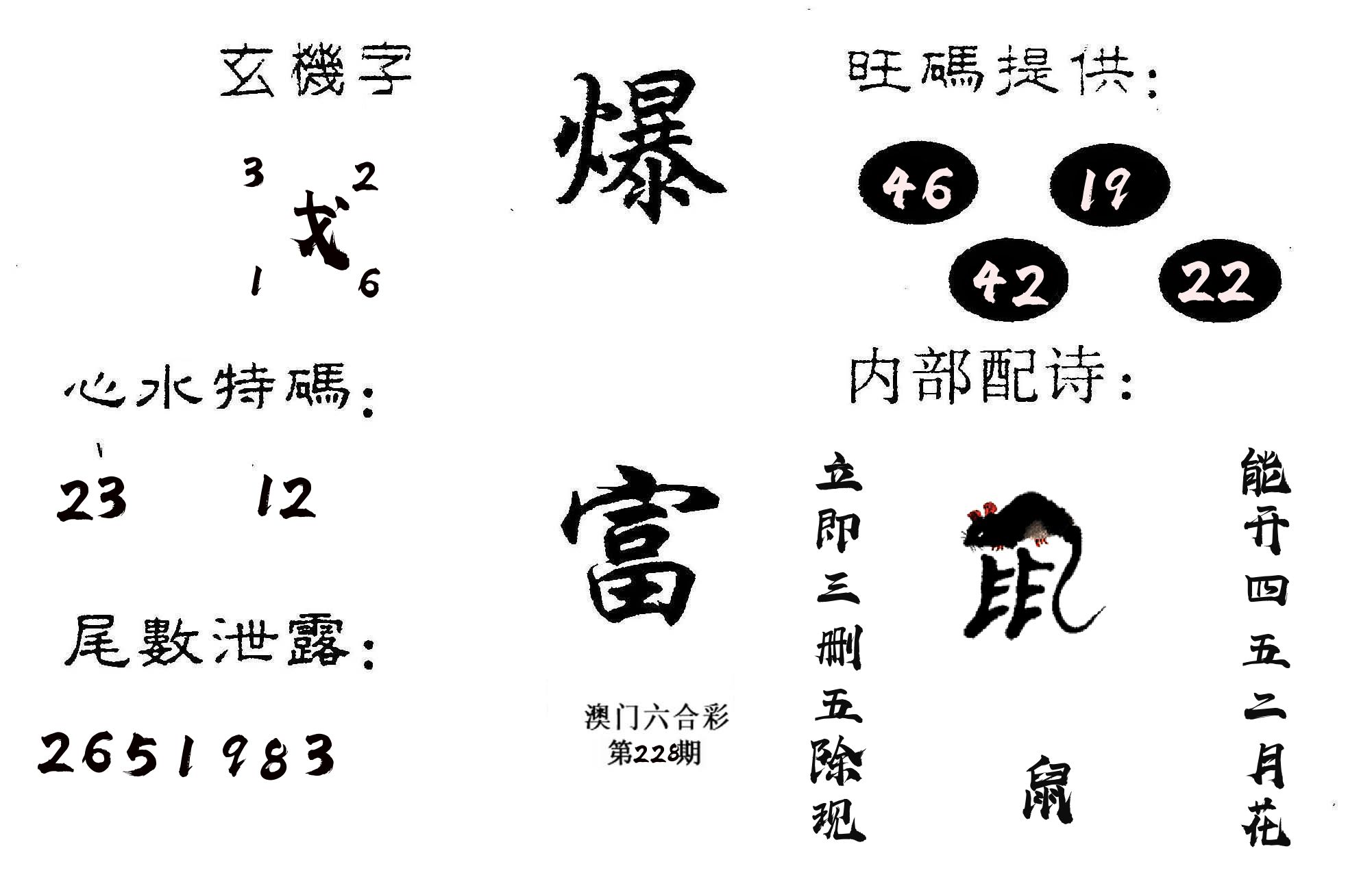 爆富 第228期