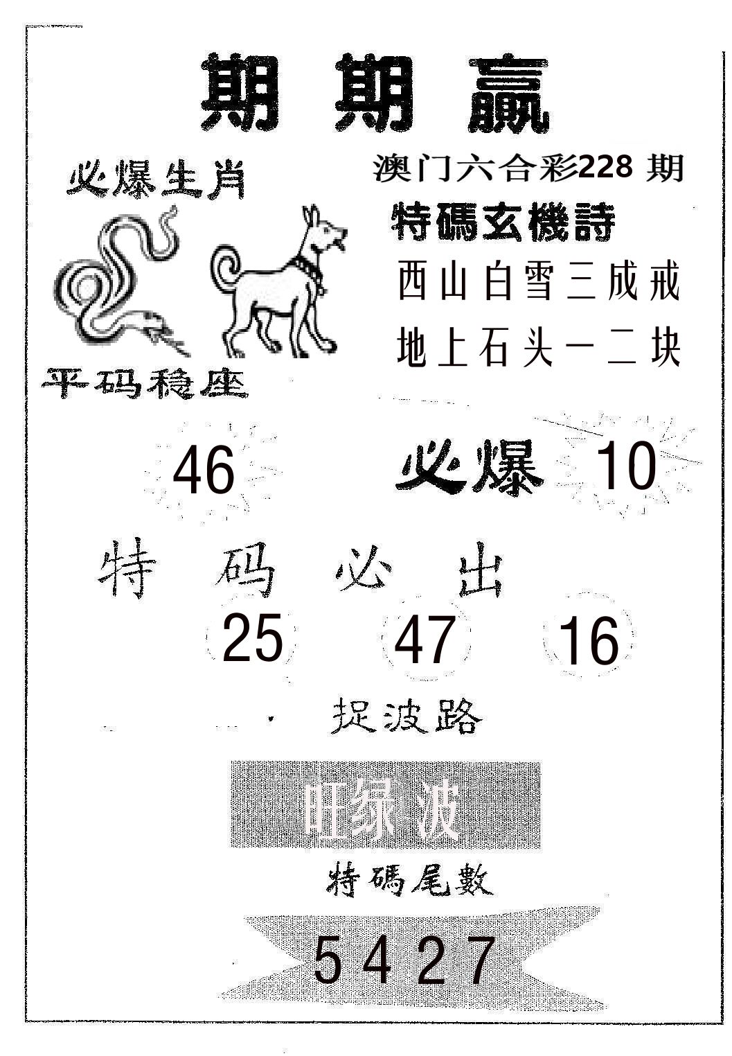 期期赢 第228期