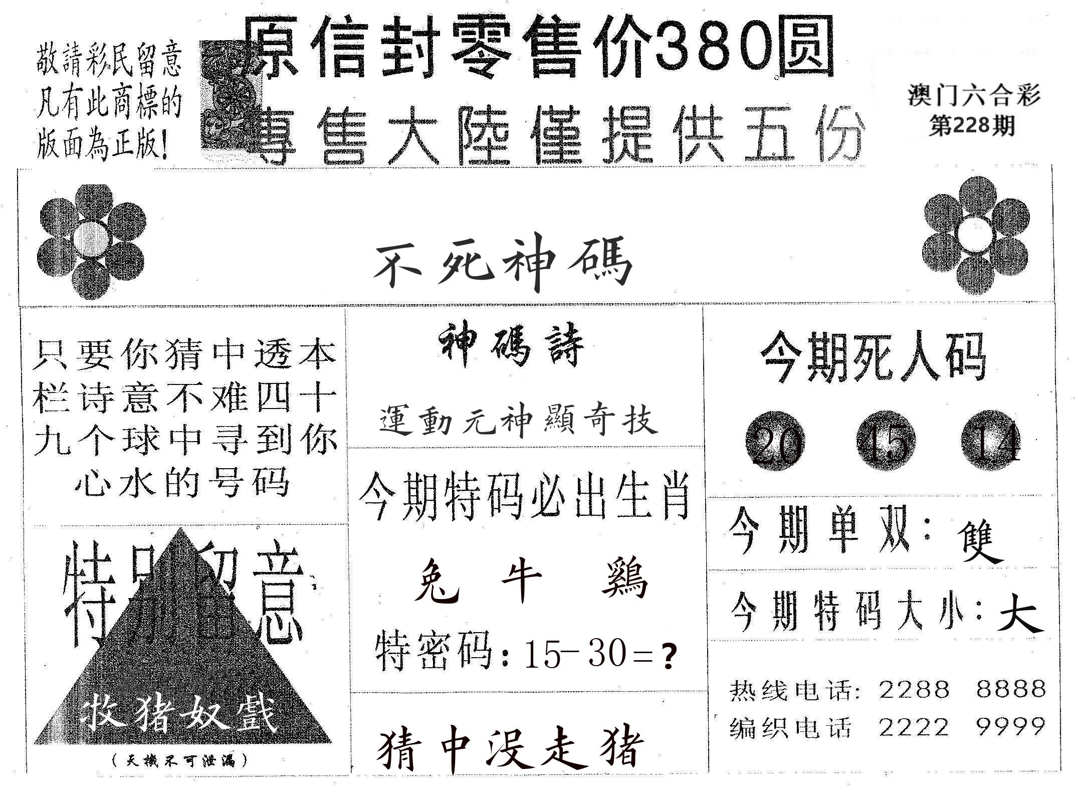 不死码A 第228期