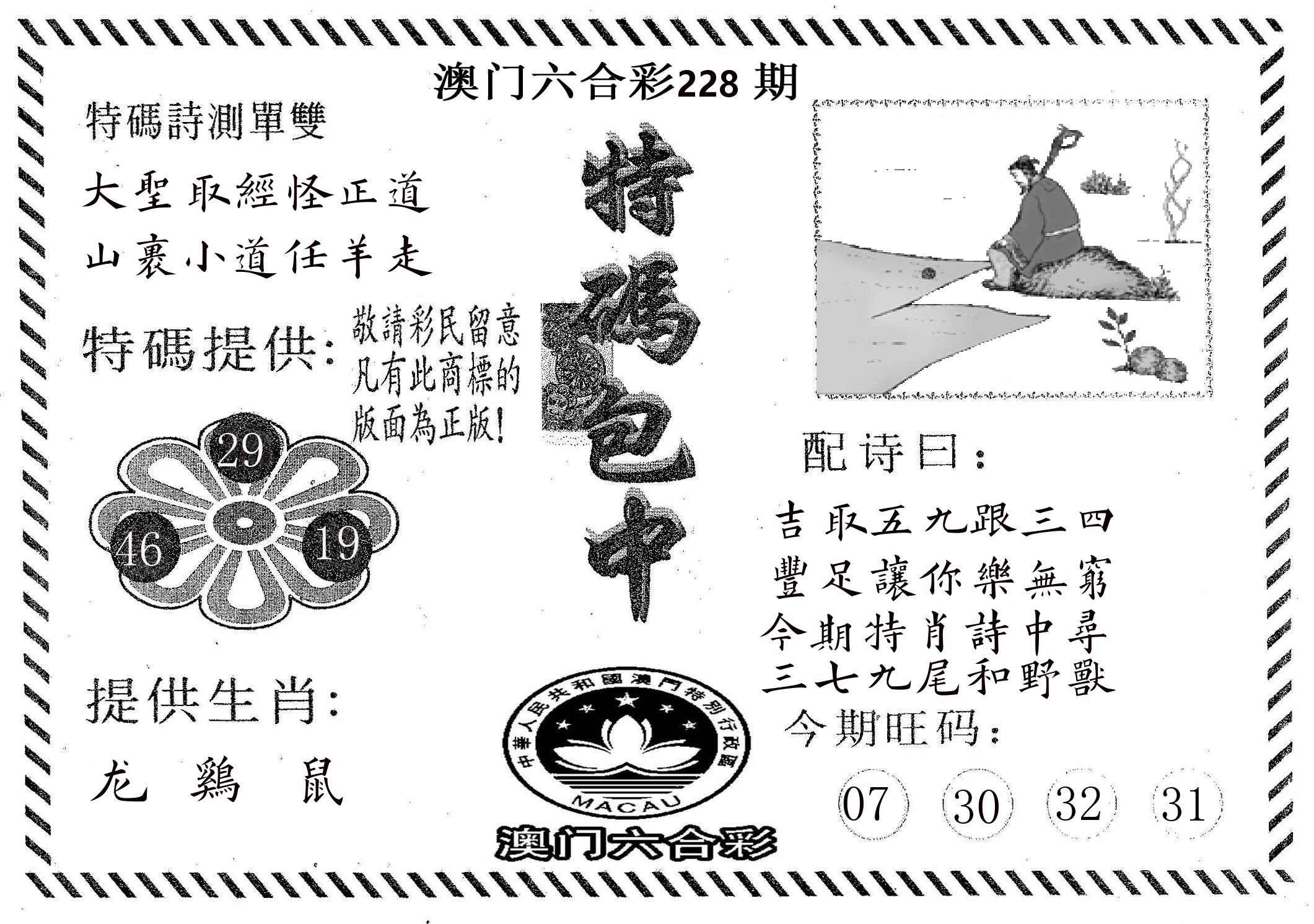 特码包中 第228期