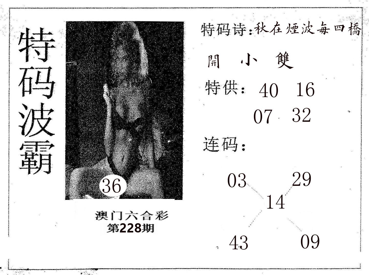 特码波霸 第228期