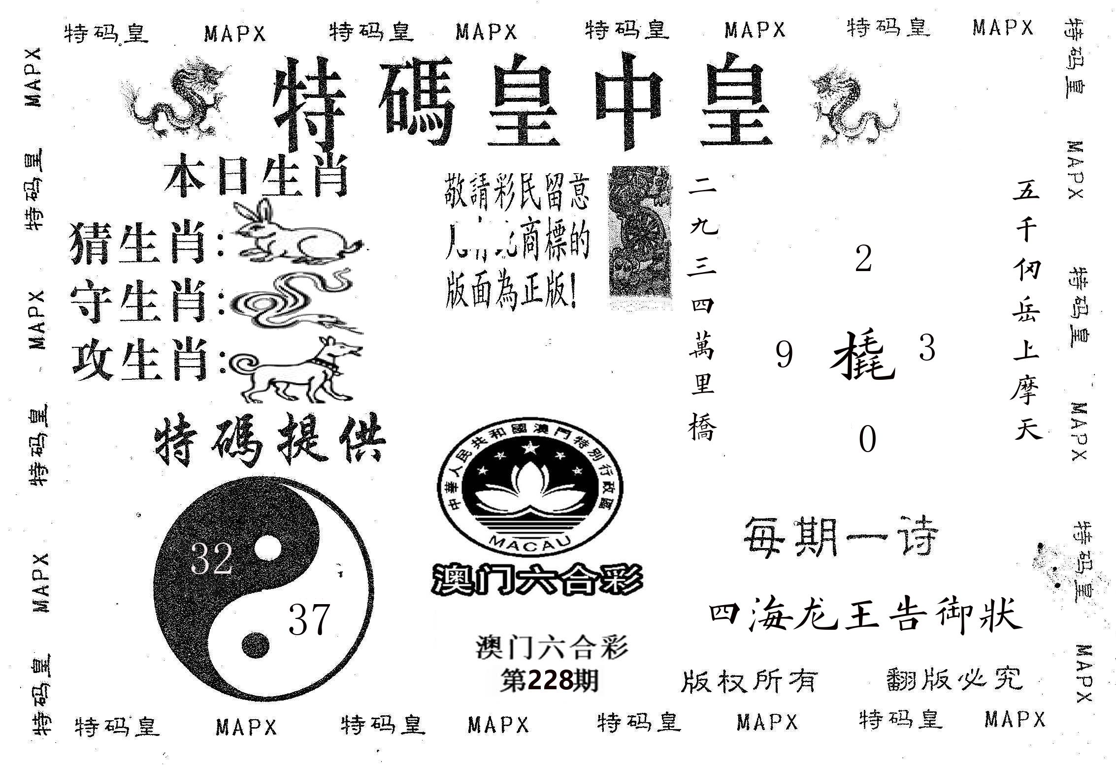 皇中皇B 第228期