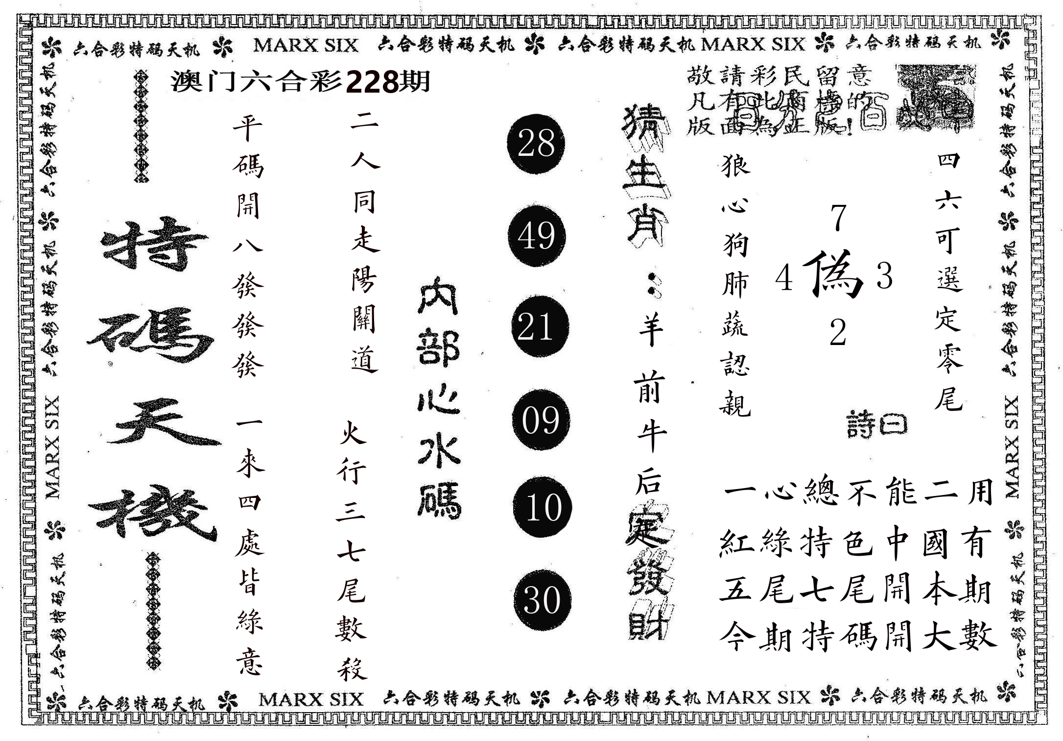 特码天机 第228期