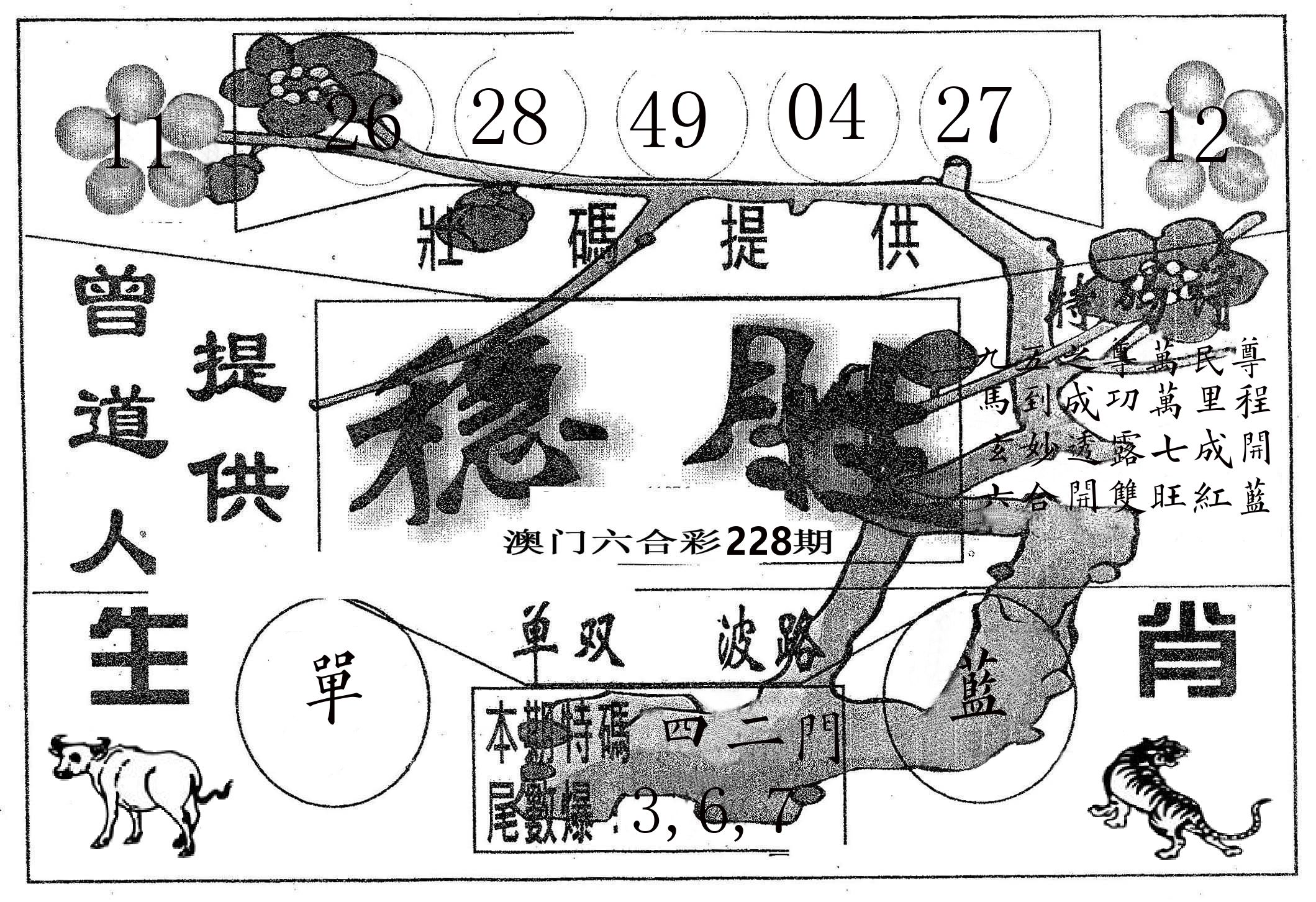 稳胜 第228期