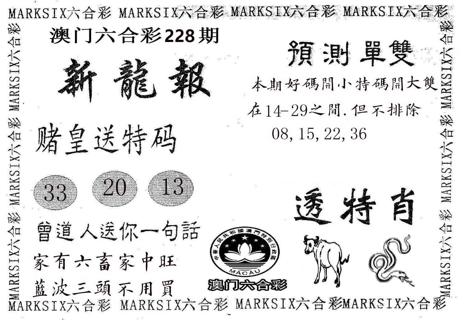 新龙报 第228期