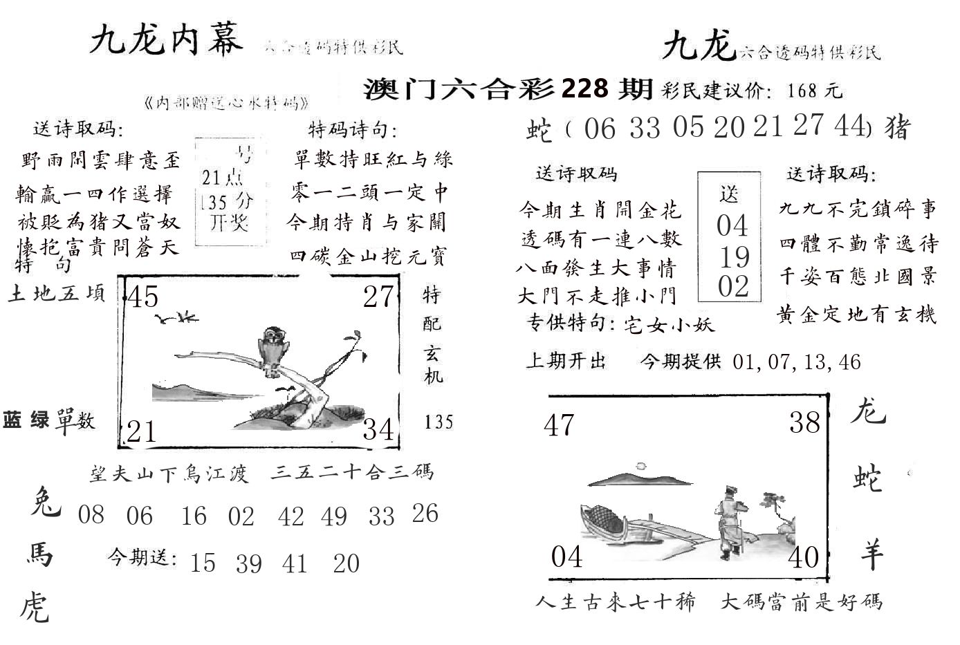 九龙内幕 第228期