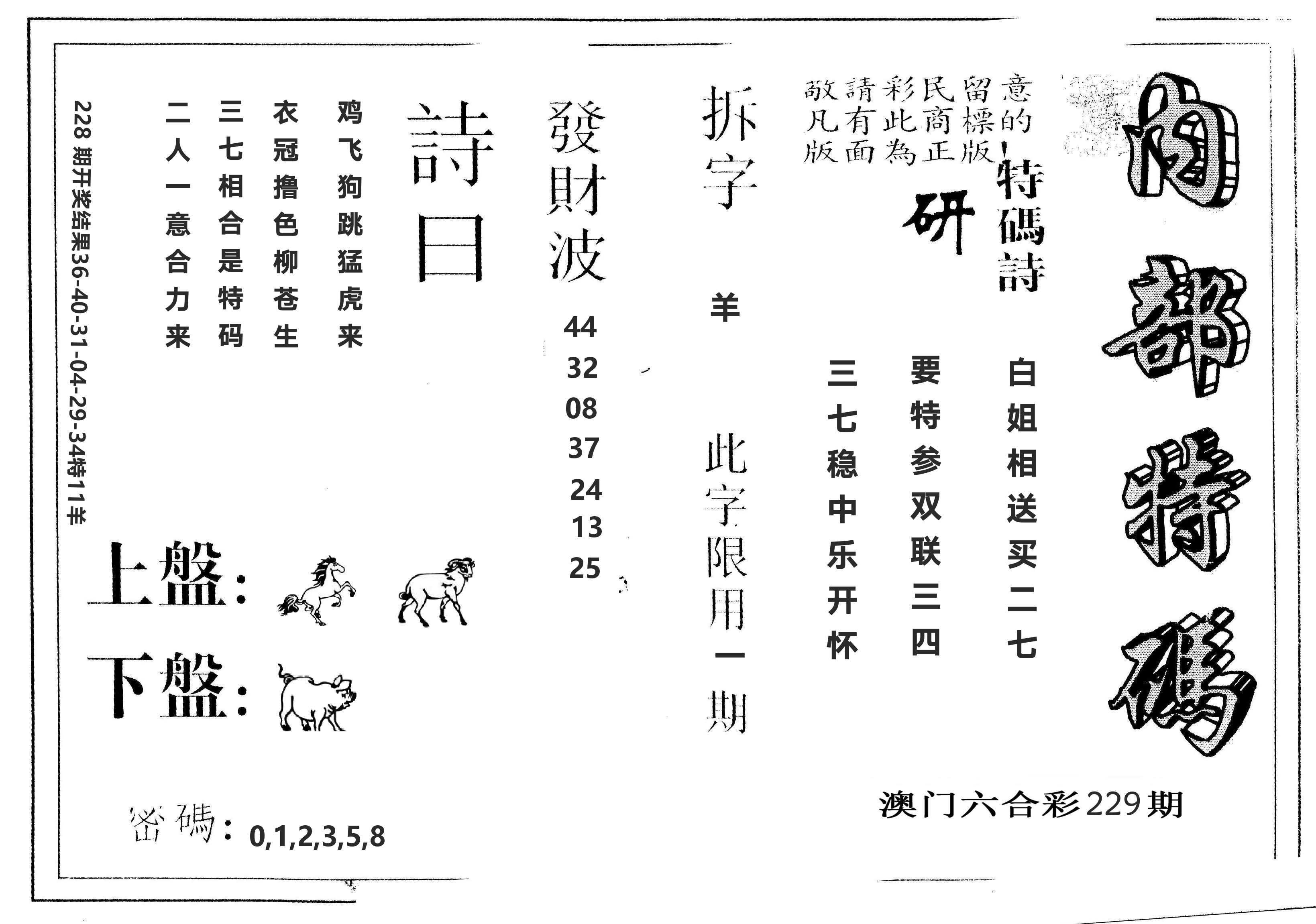 另版内部特码 第229期