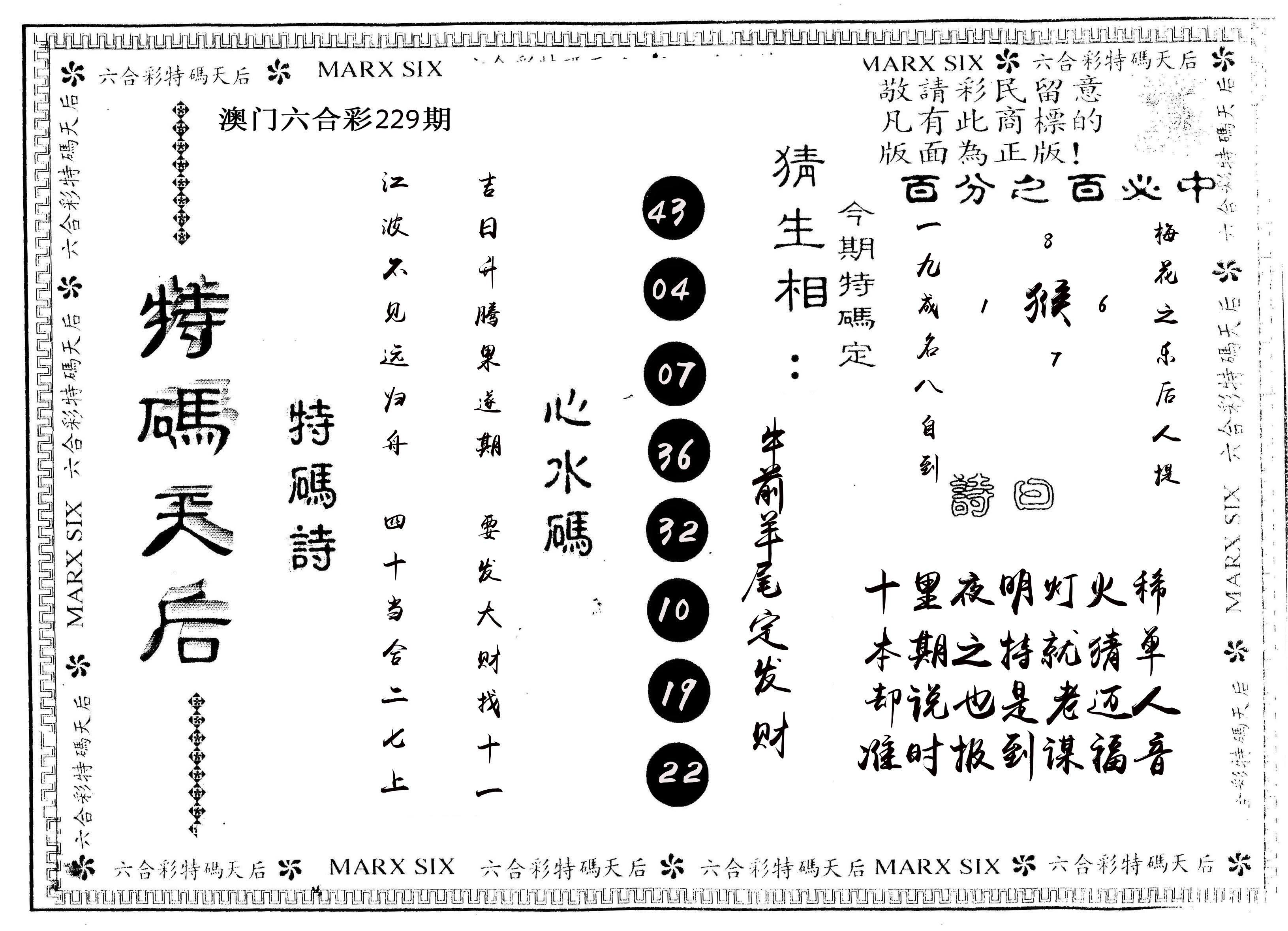 另版特码天后 第229期