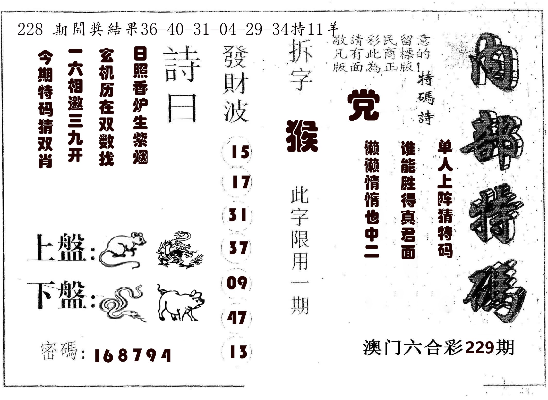 内部特码 第229期