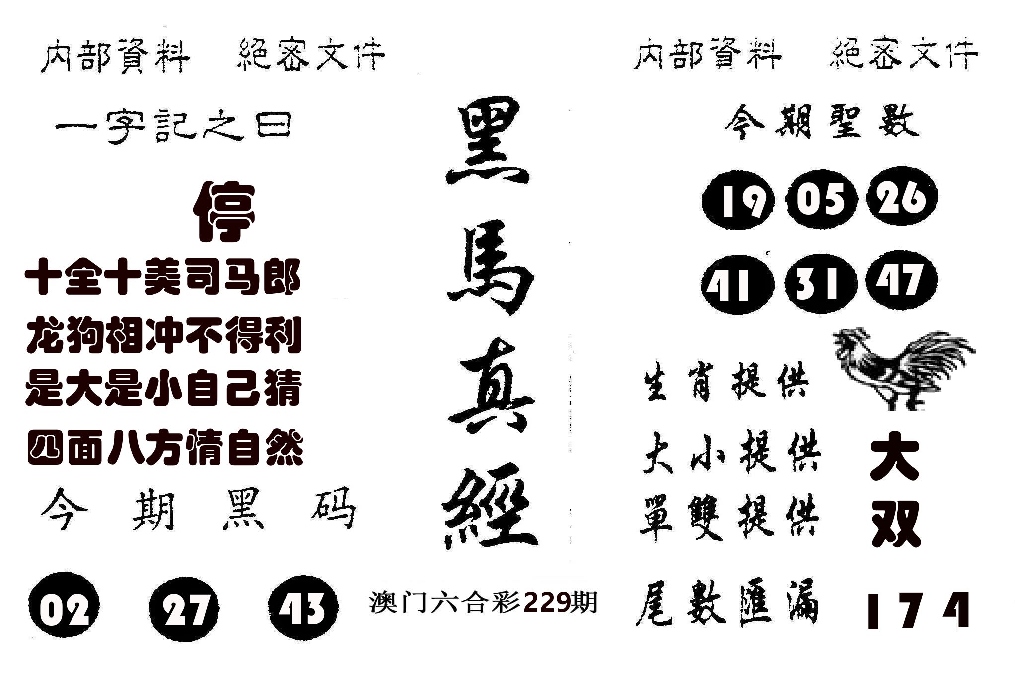 黑马真经 第229期