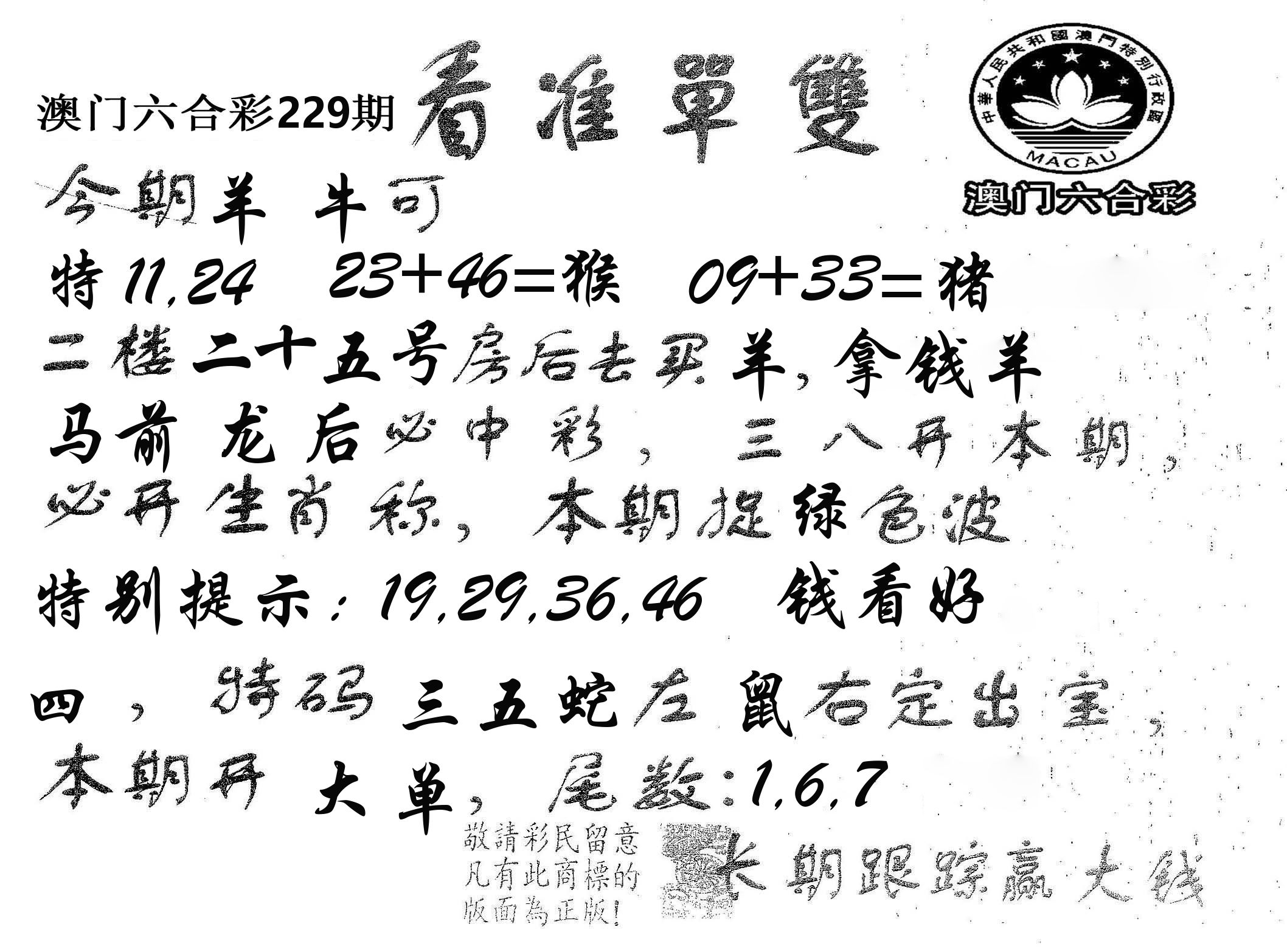 看准单双 第229期