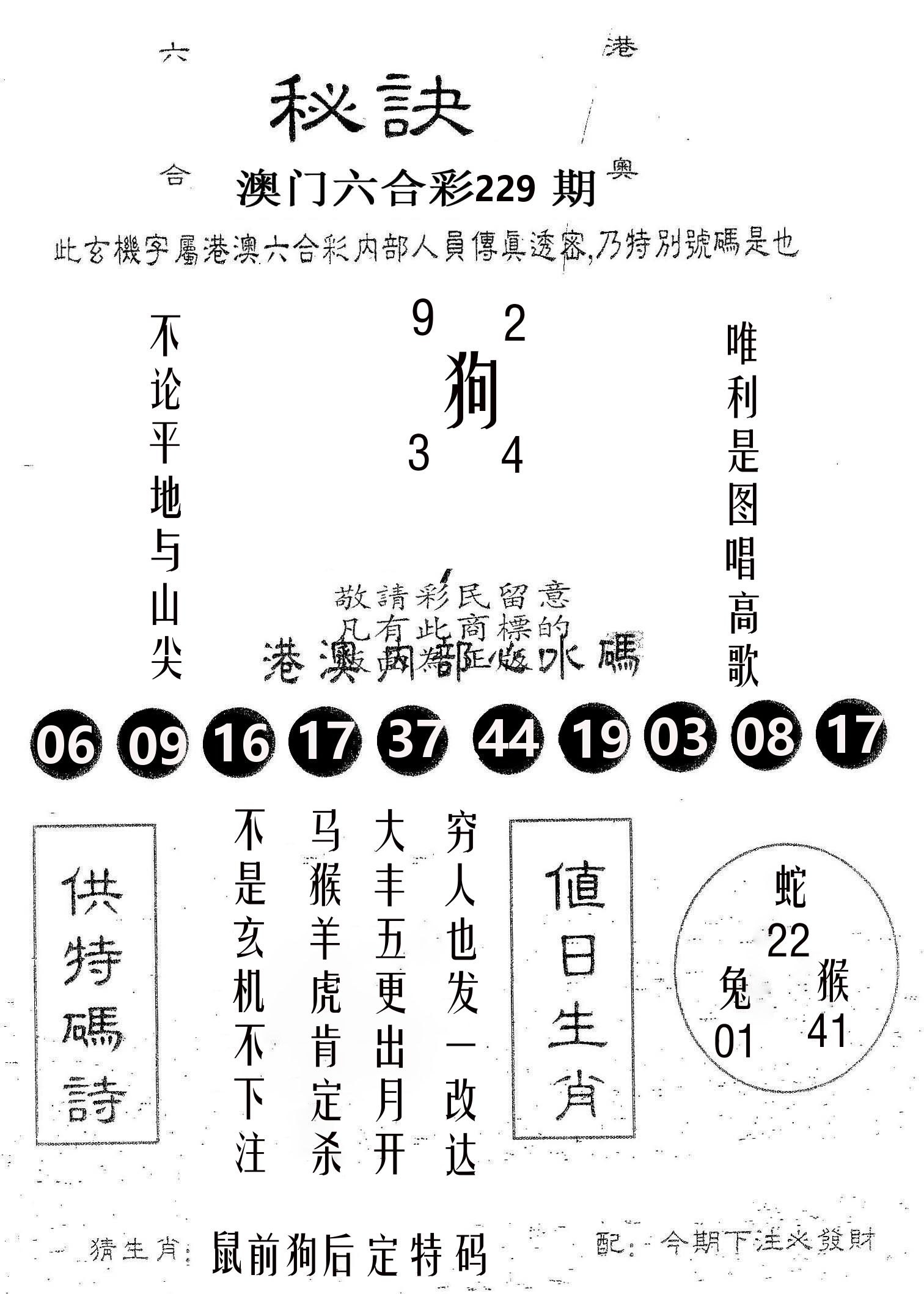 秘决 第229期