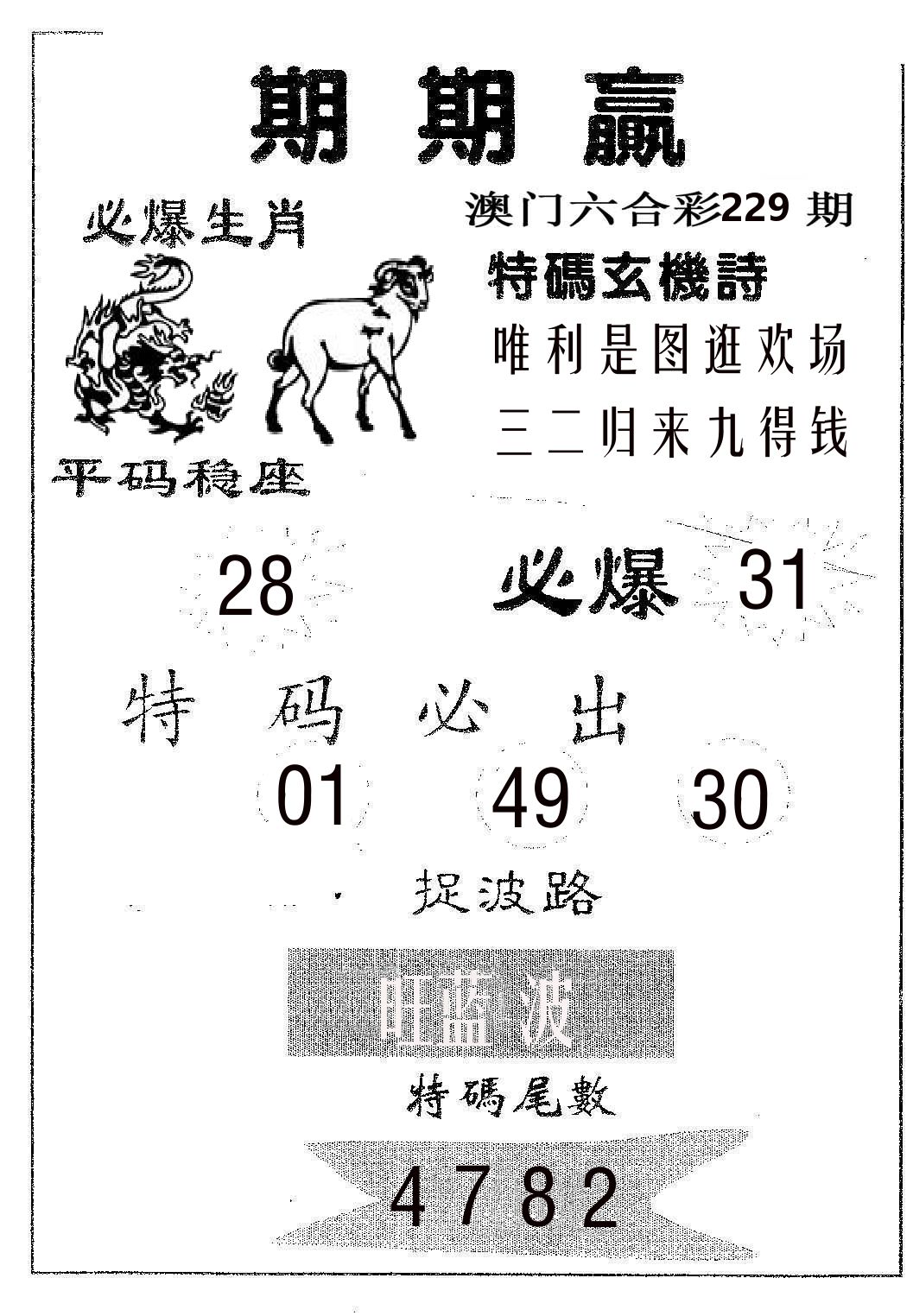 期期赢 第229期
