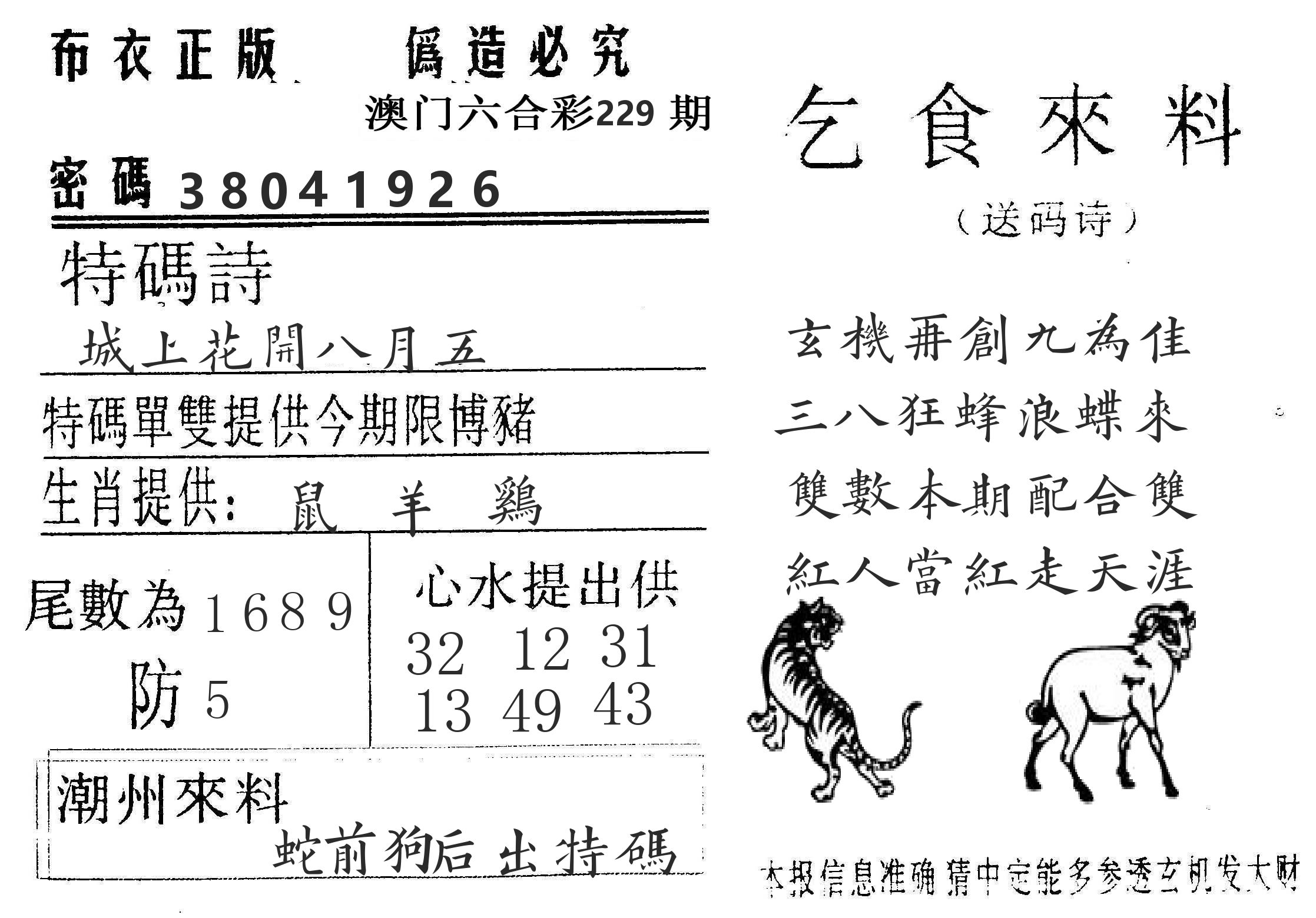 千禧码王 第229期