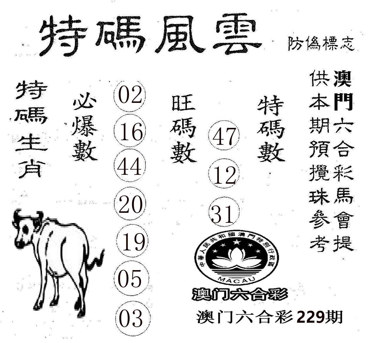 特码风云 第229期