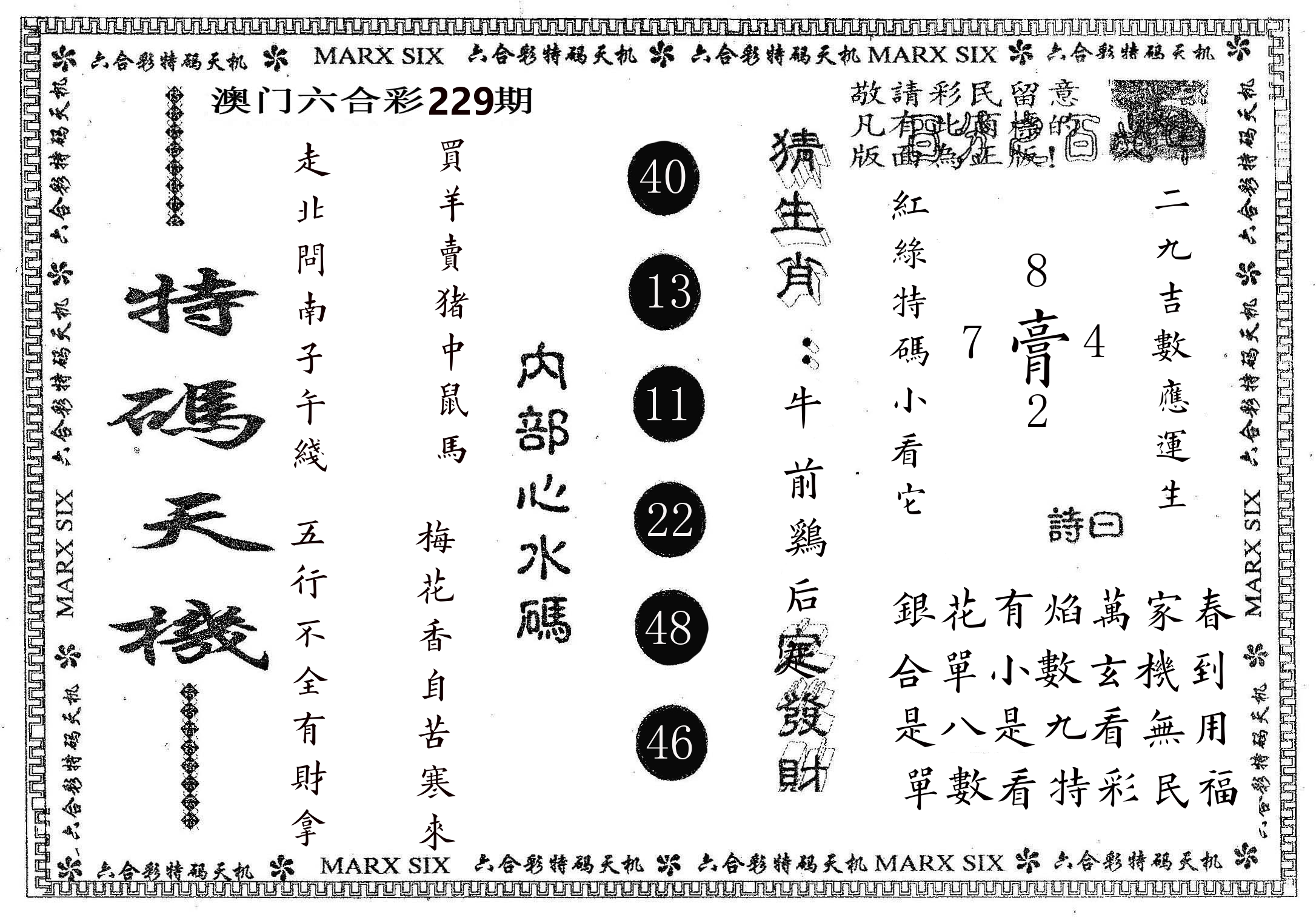 特码天机 第229期