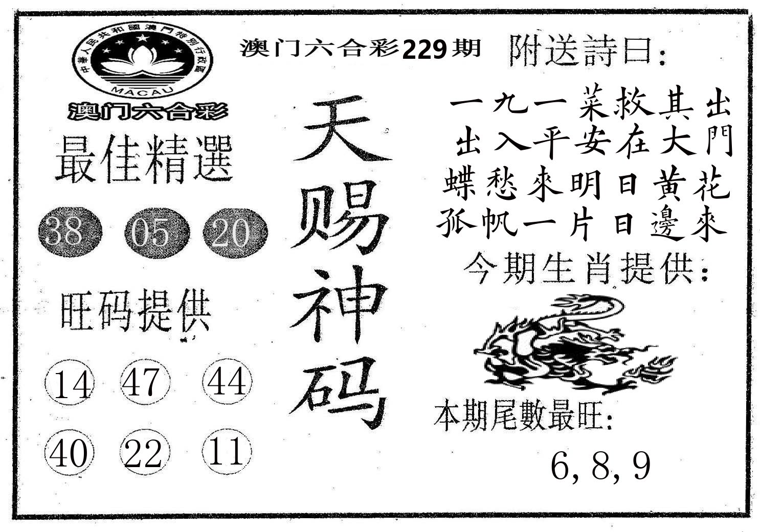 天赐神码 第229期