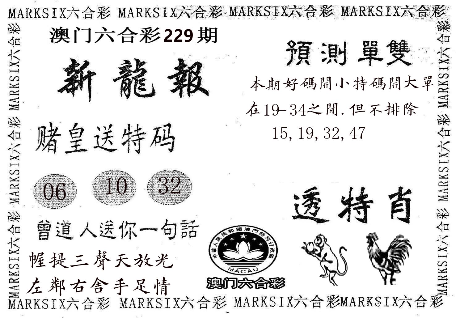 新龙报 第229期
