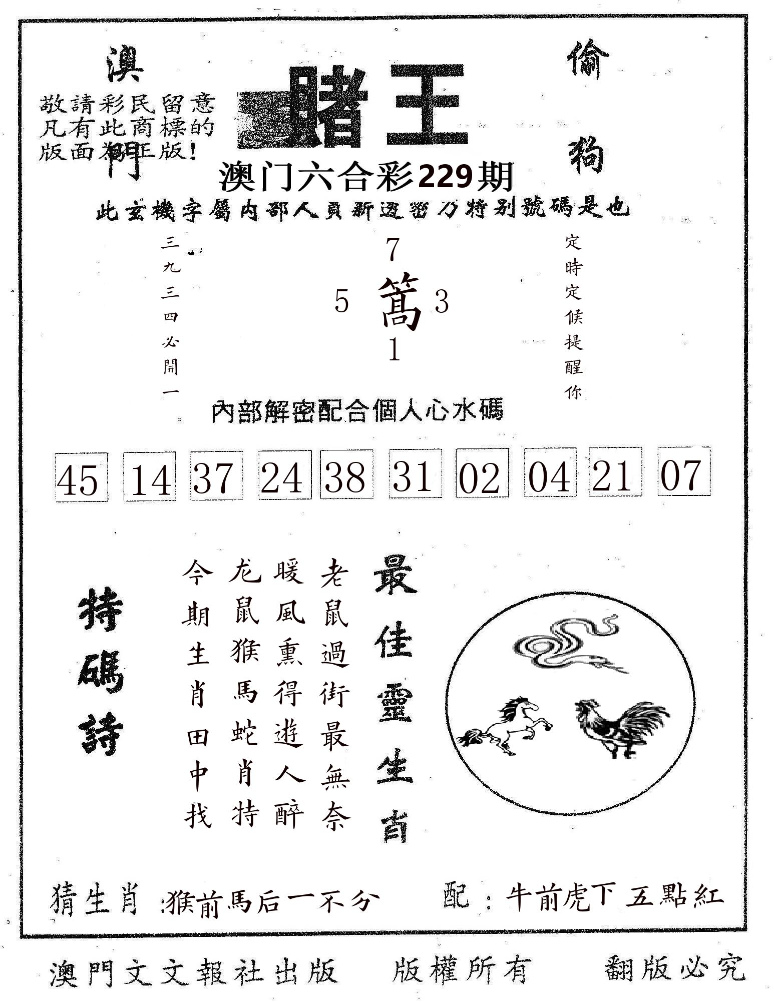 赌王 第229期