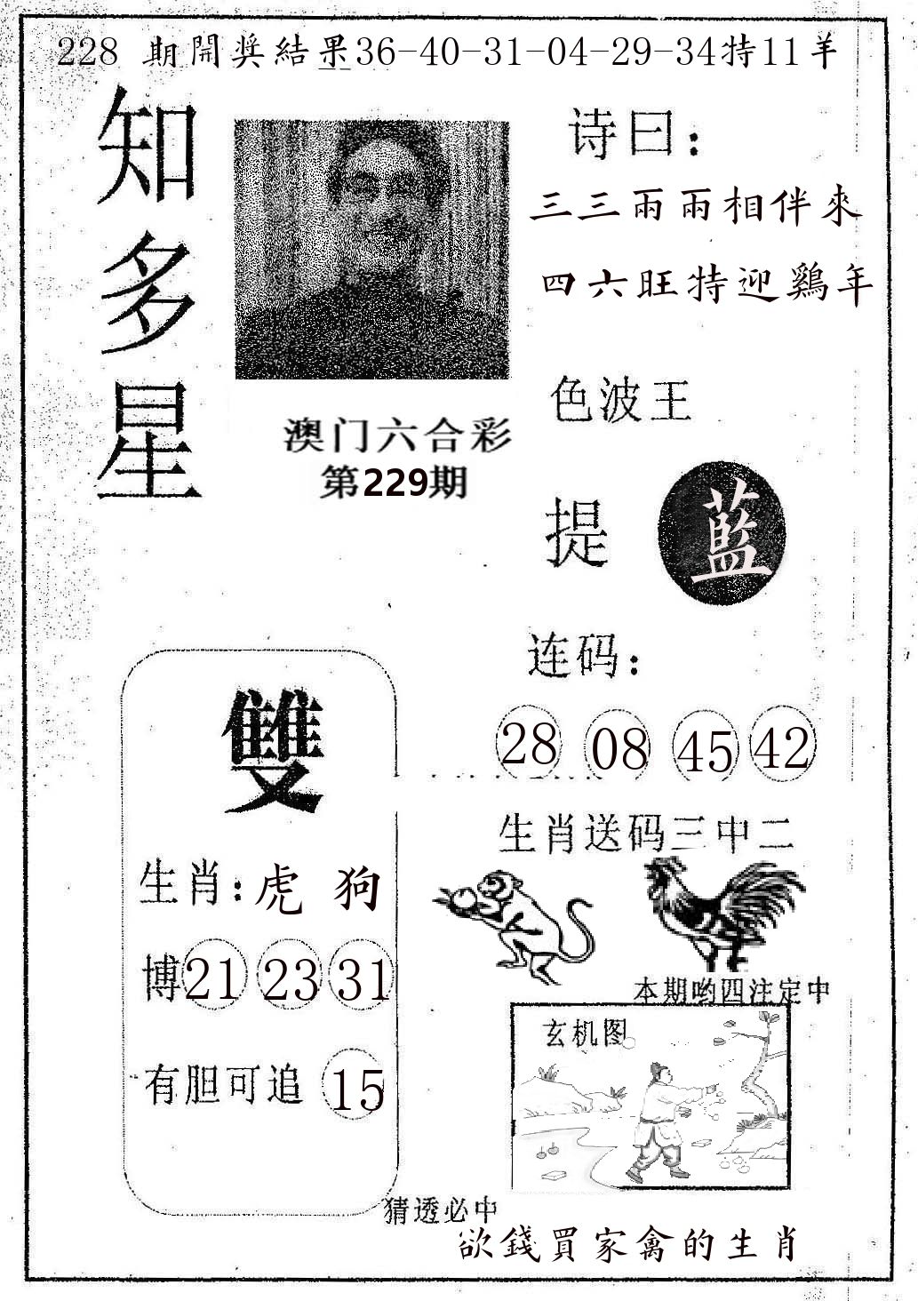 知多星 第229期