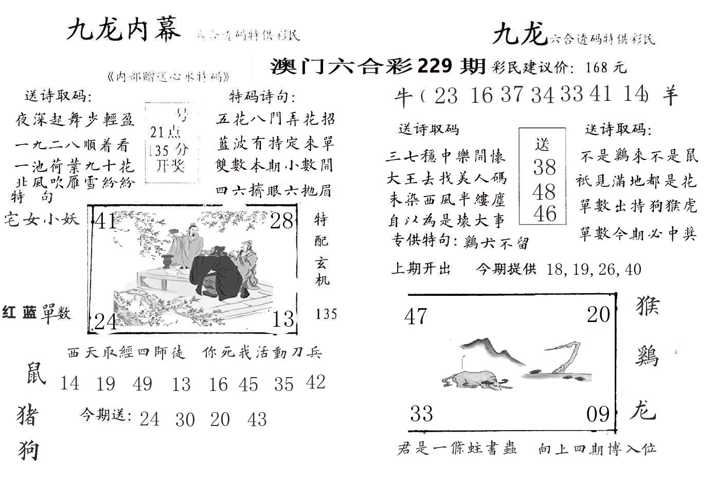 九龙内幕 第229期