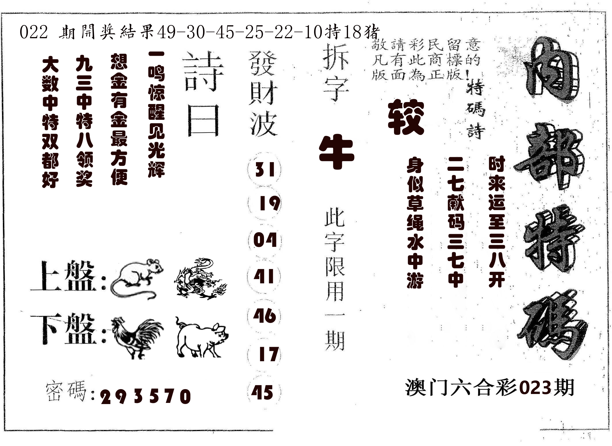 内部特码 第23期