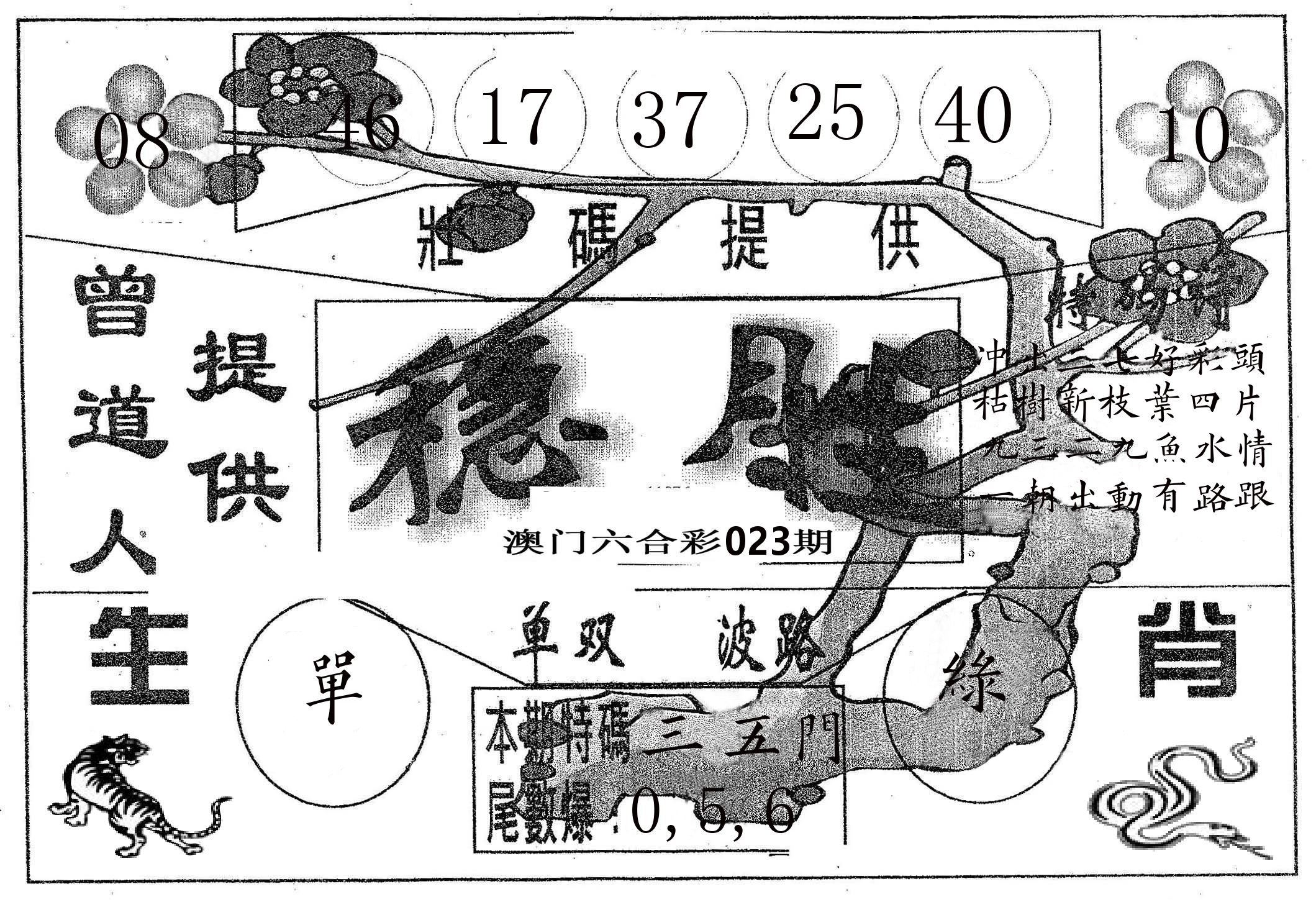 稳胜 第23期