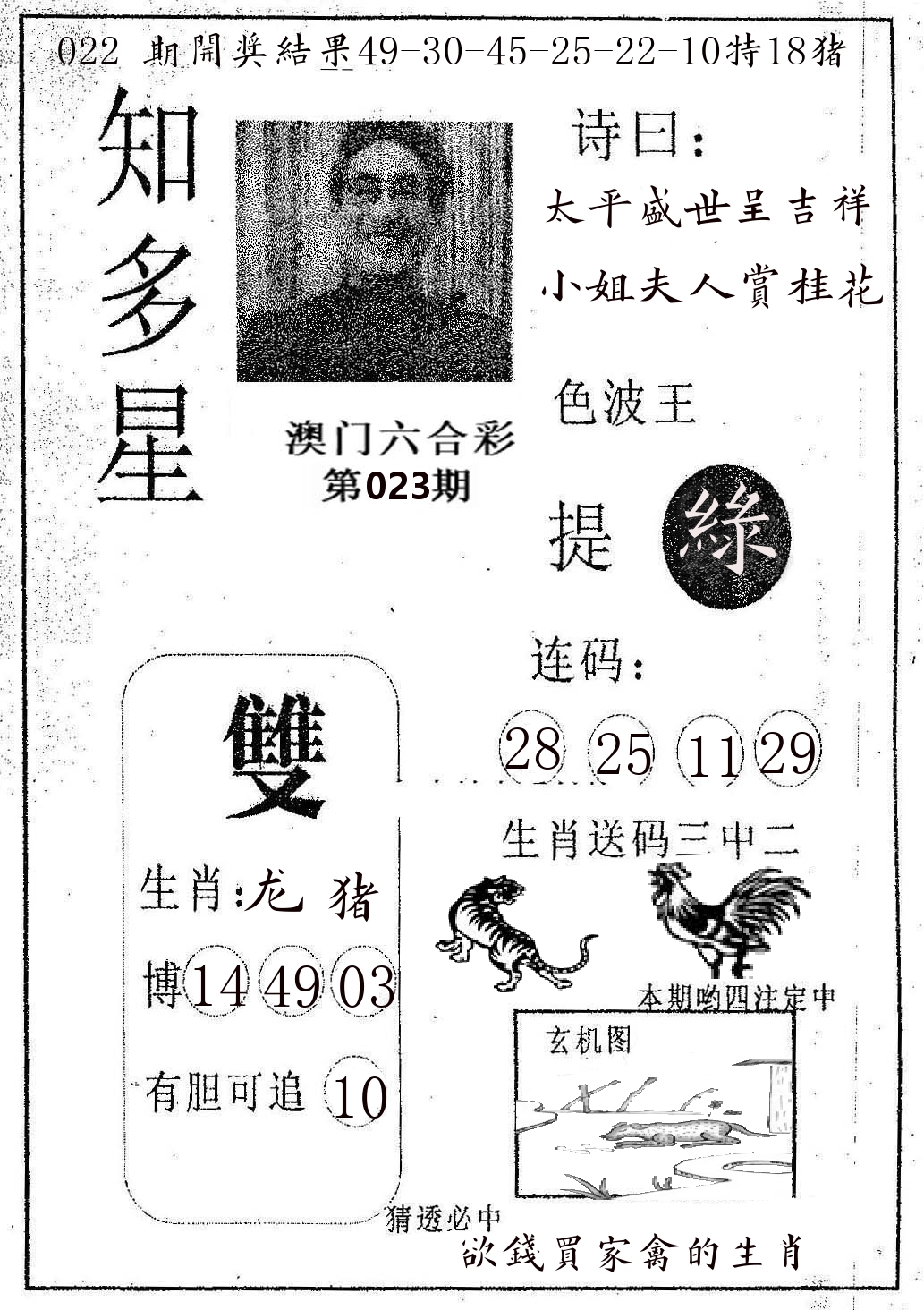 知多星 第23期