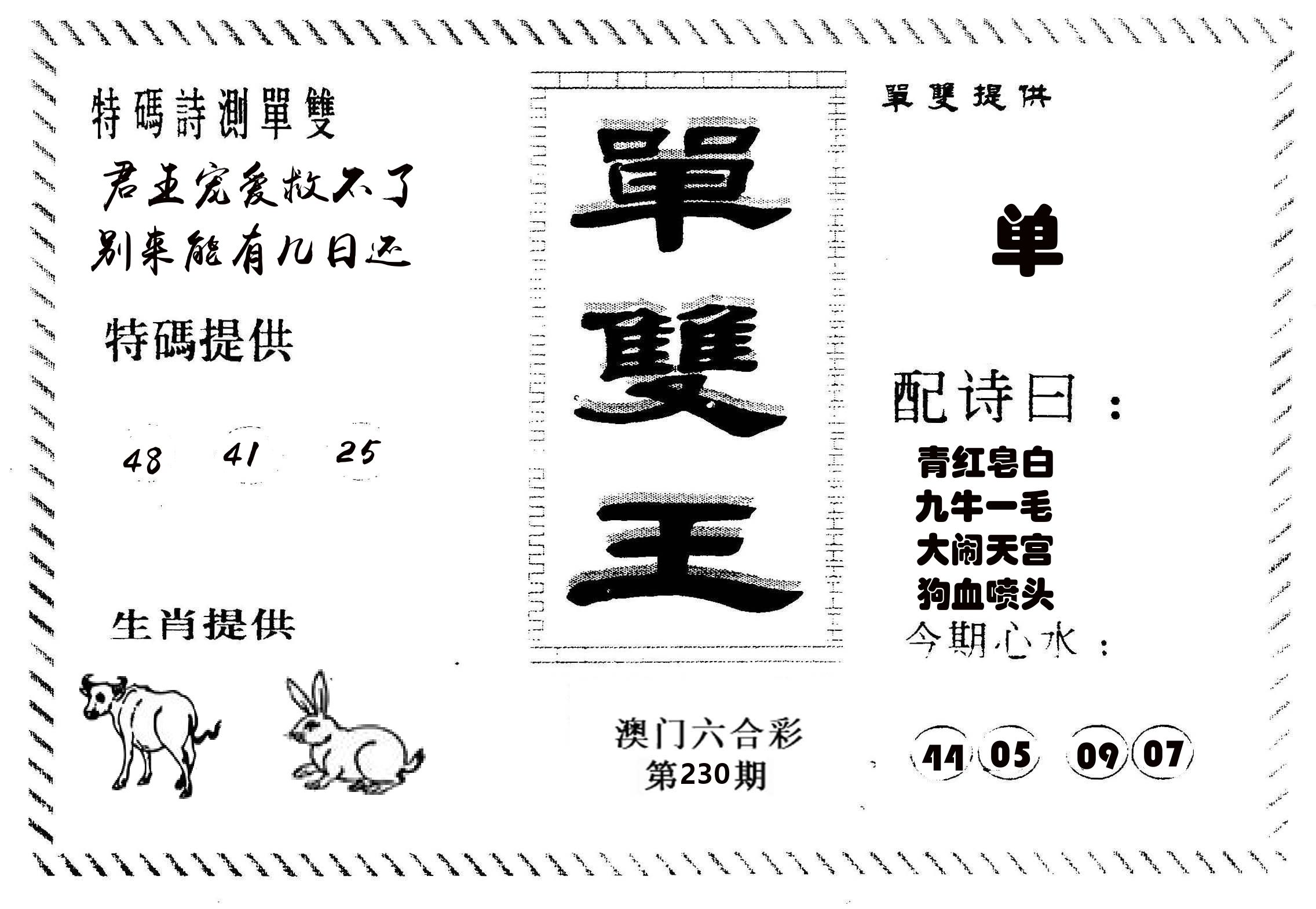 单双王B 第230期