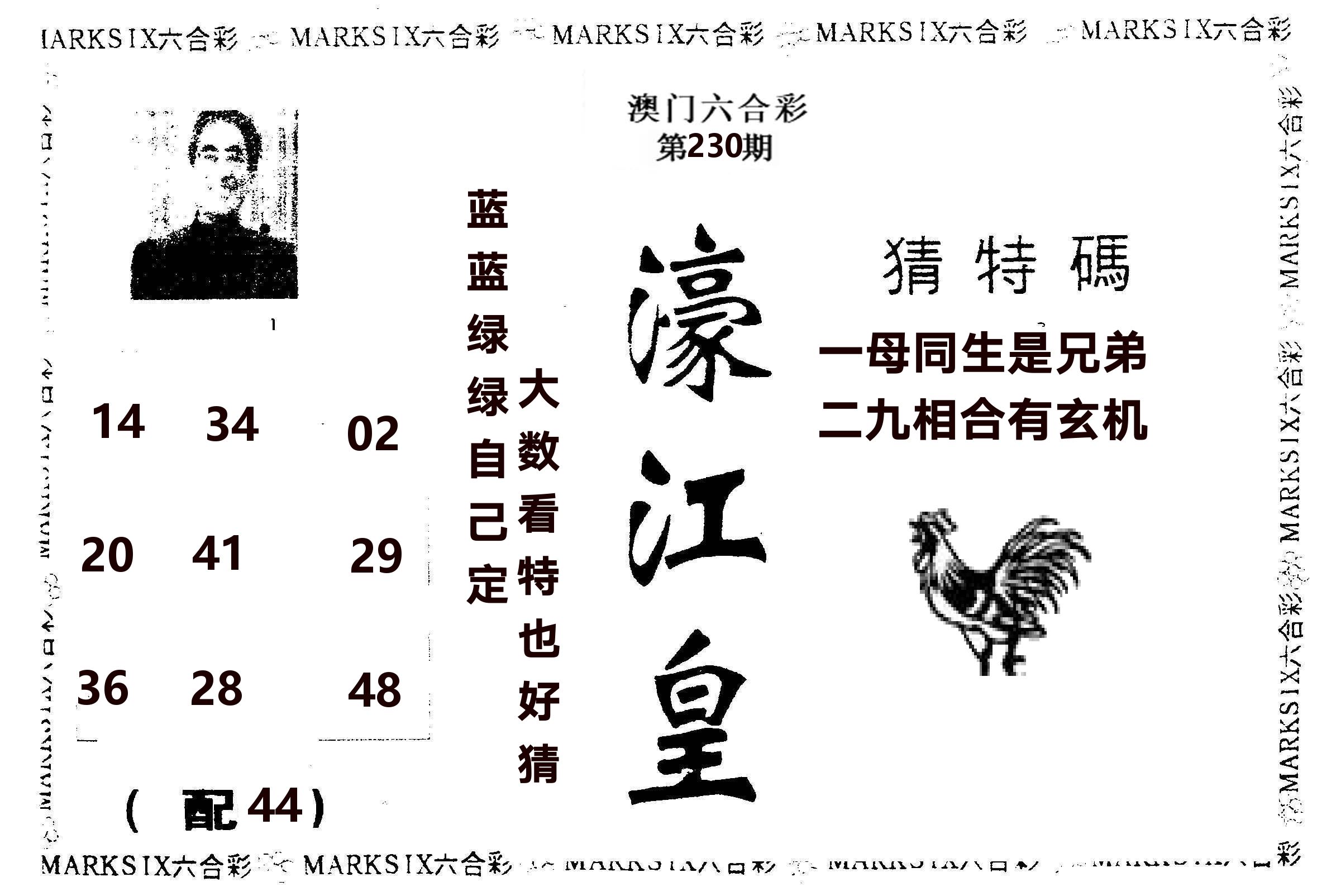 濠江皇 第230期
