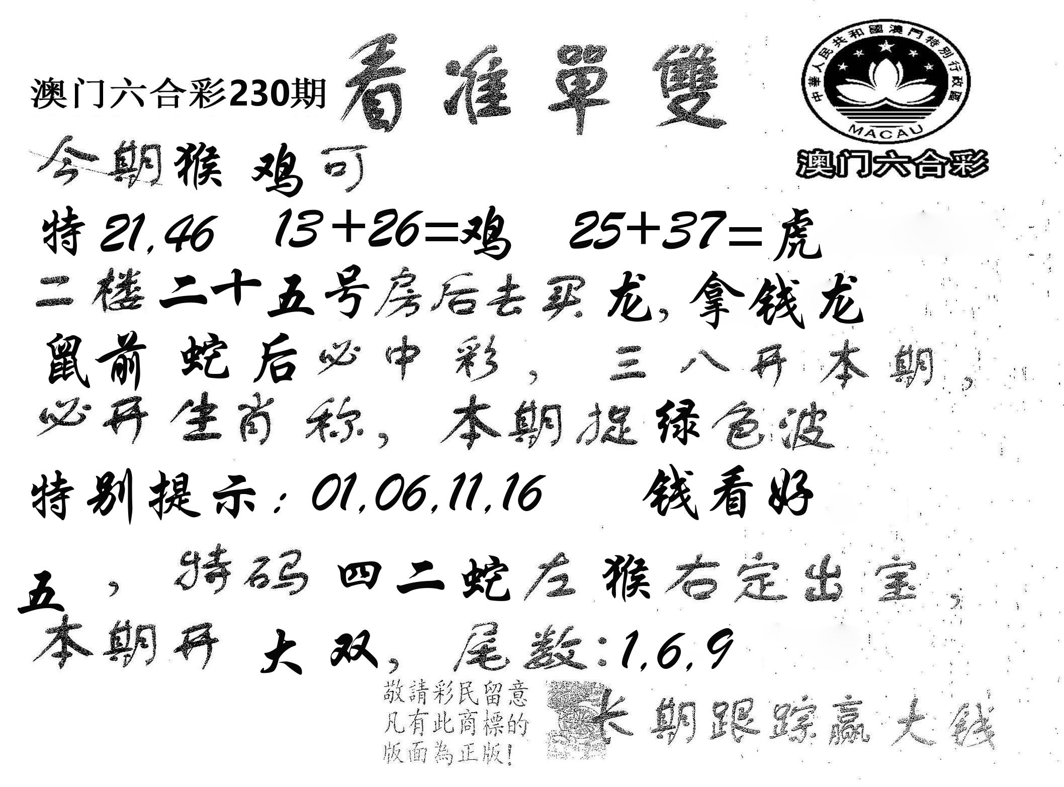 看准单双 第230期