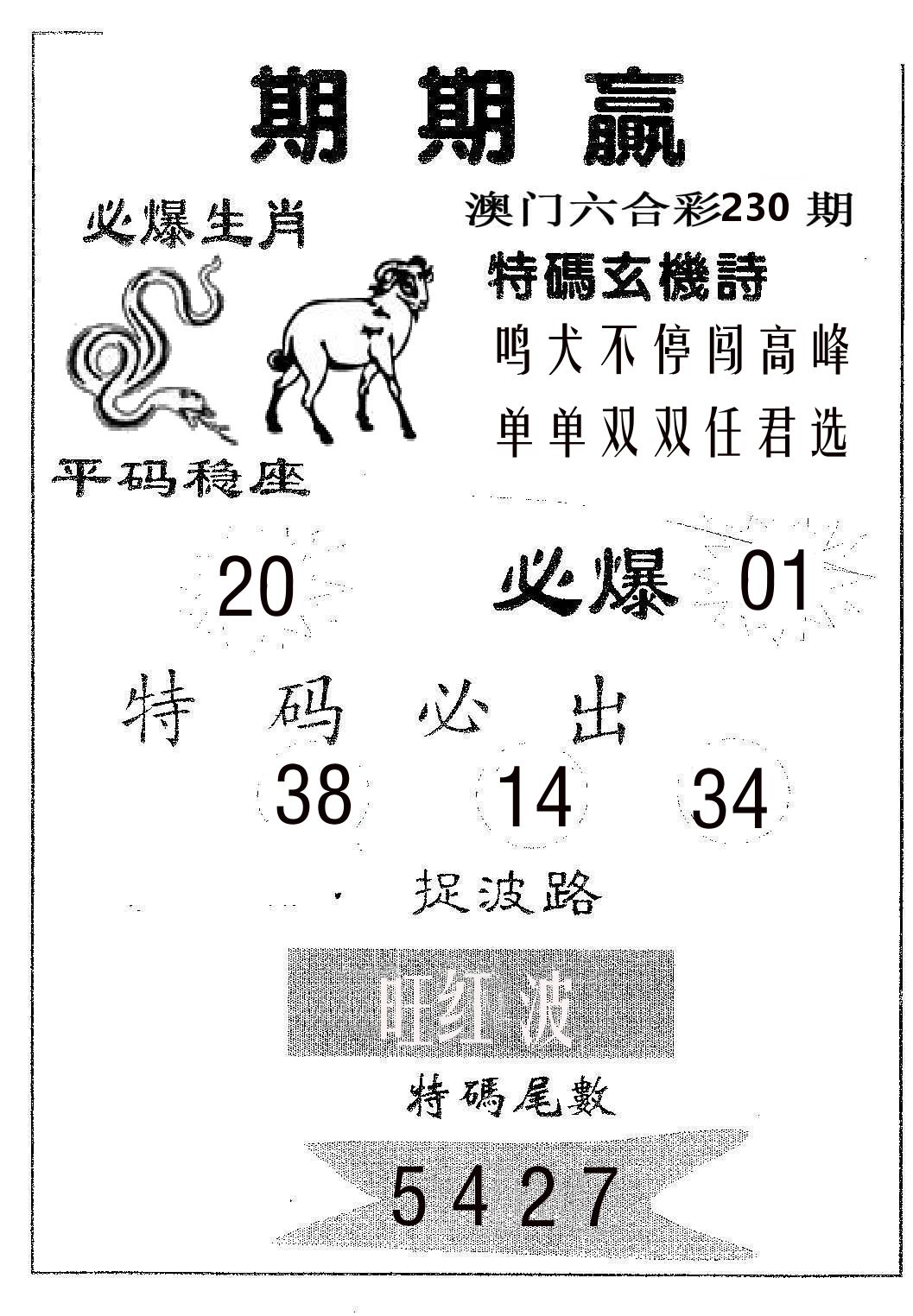 期期赢 第230期