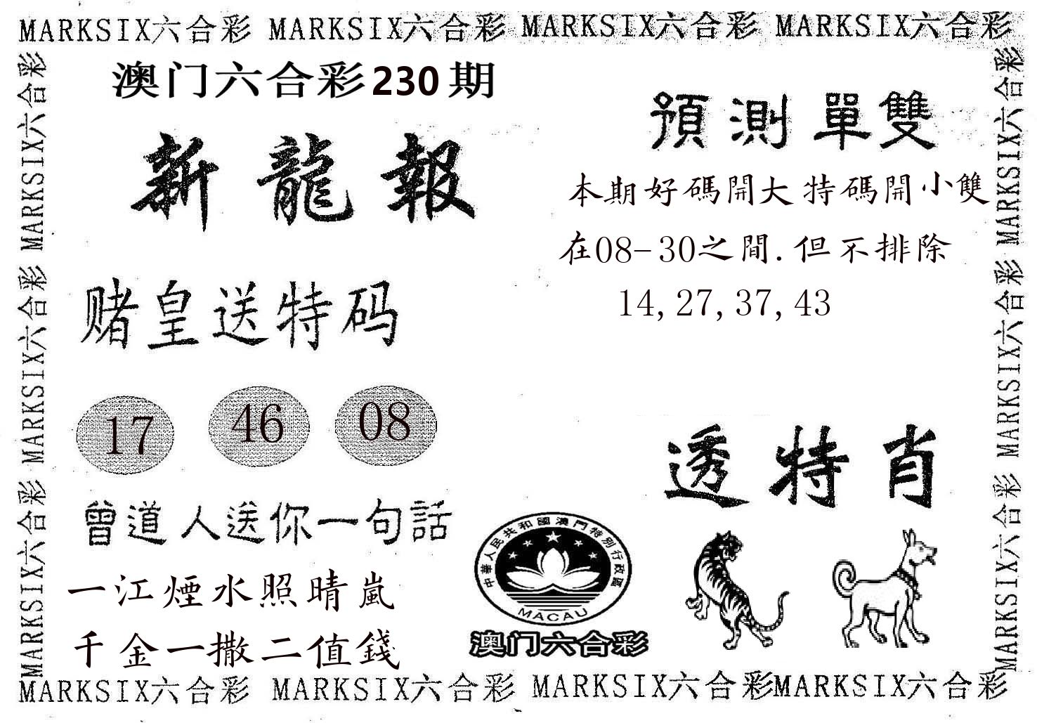 新龙报 第230期