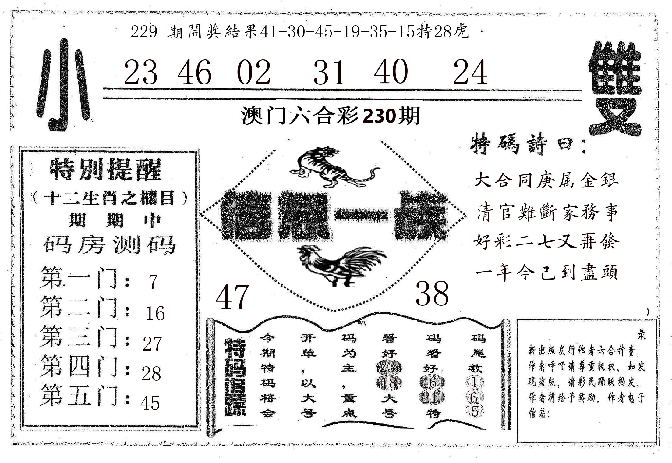 信息一族 第230期