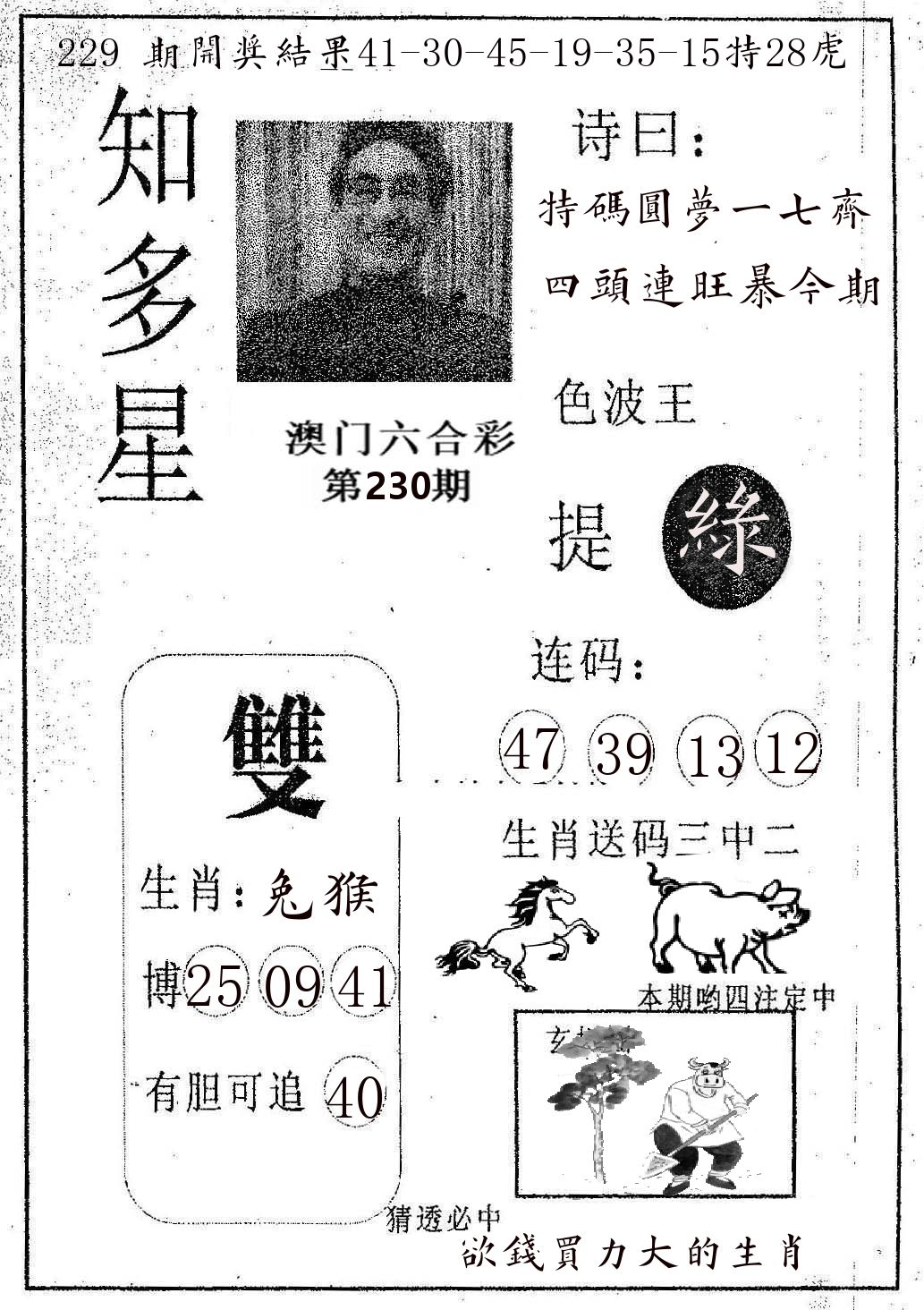 知多星 第230期